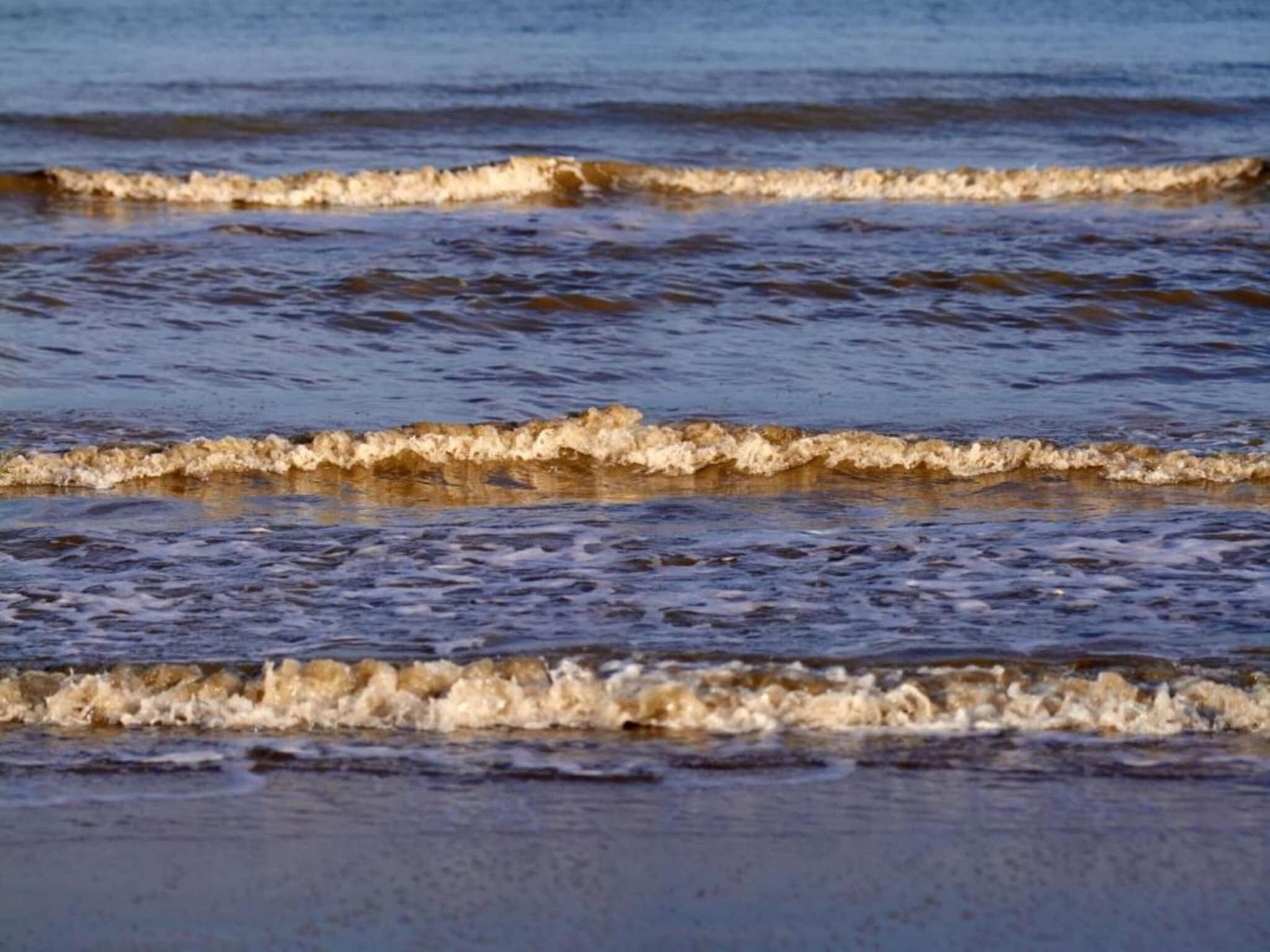 Beach Resort Nieuwvliet-Bad 16 in Nieuwvliet-Bad - Foto 29 van 41