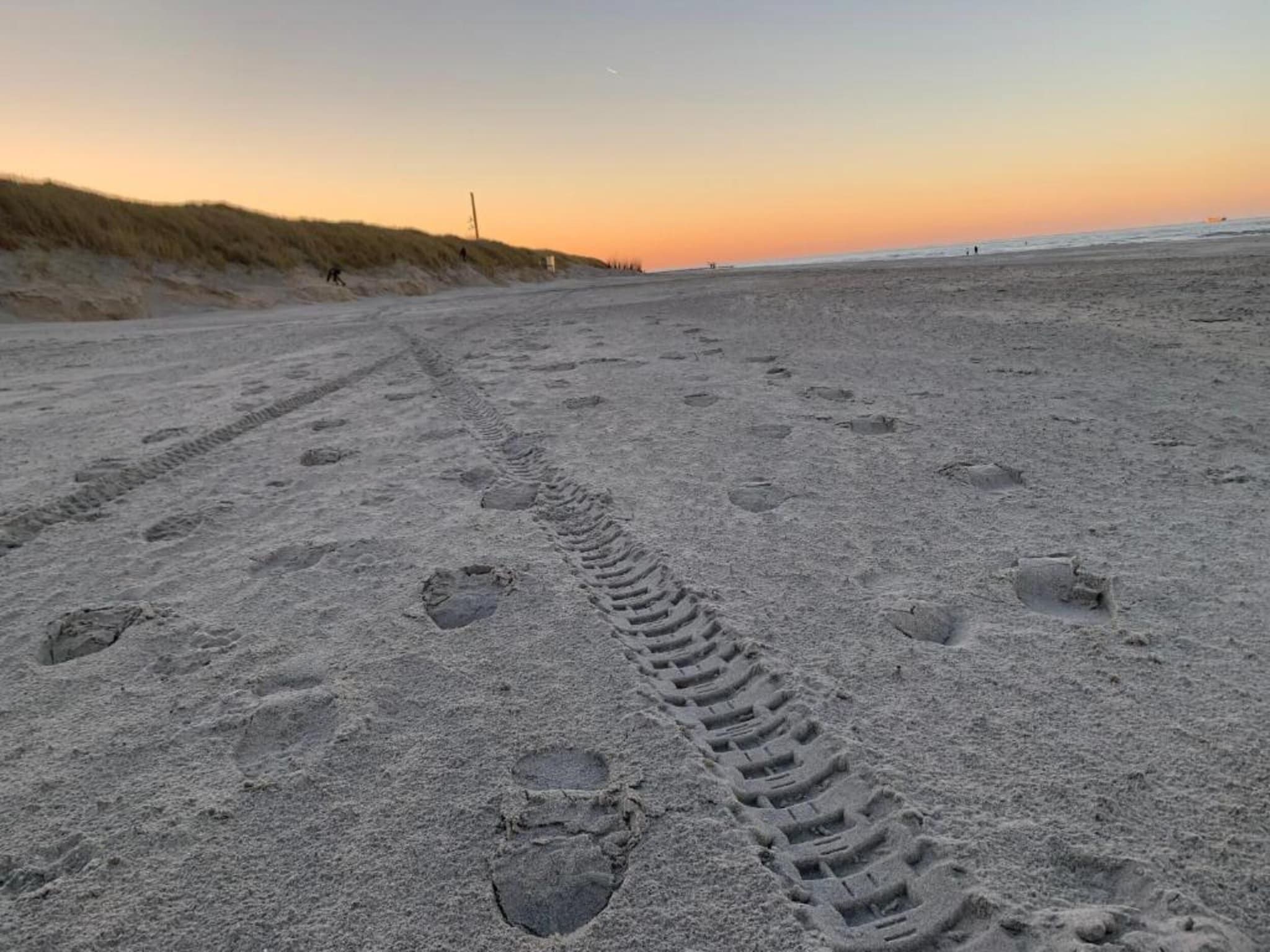 Beach Resort Nieuwvliet-Bad 16 in Nieuwvliet-Bad - Foto 30 van 41