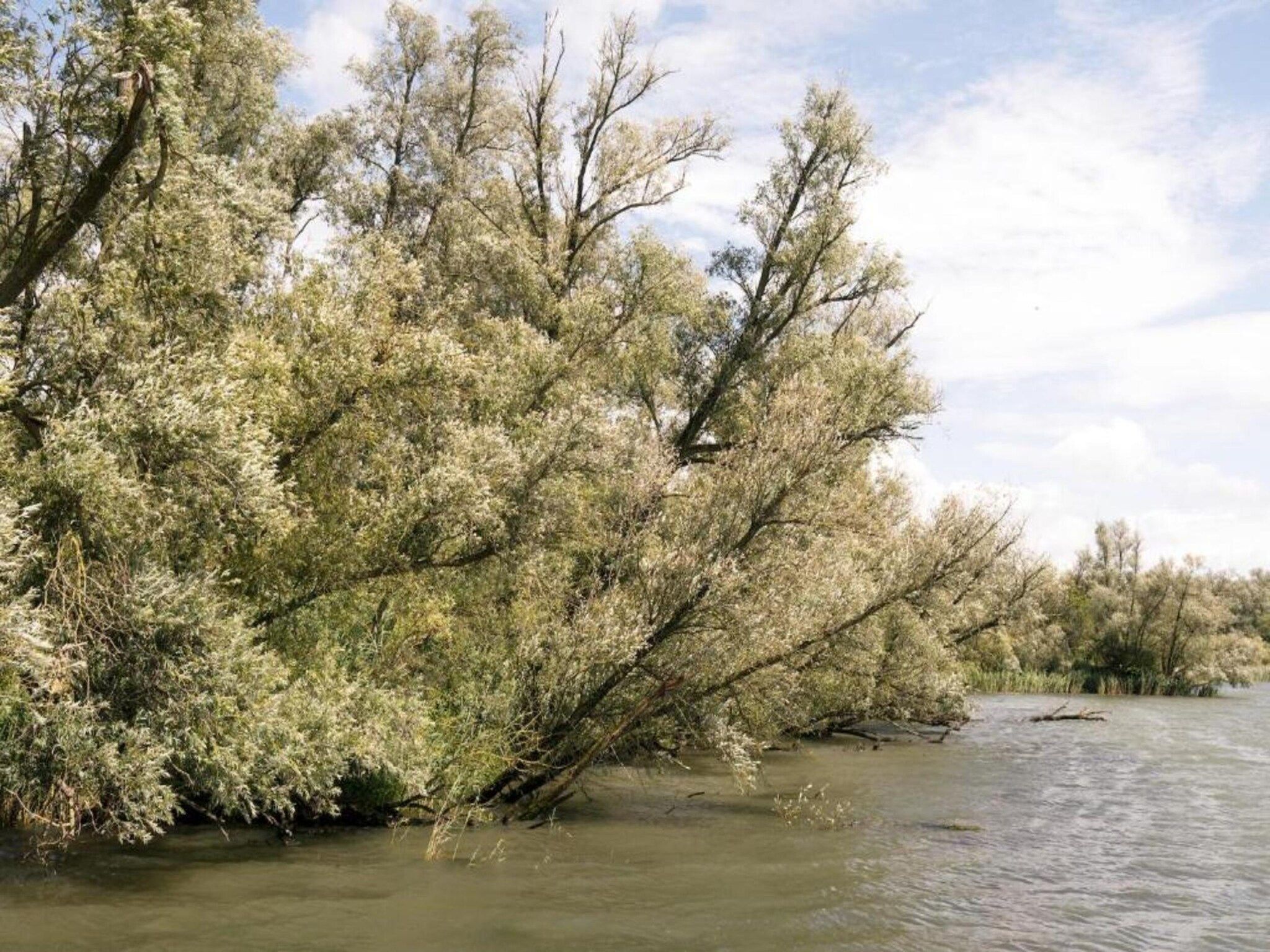 De omgeving van Vakantiepark de Katjeskelder 21 in Oosterhout