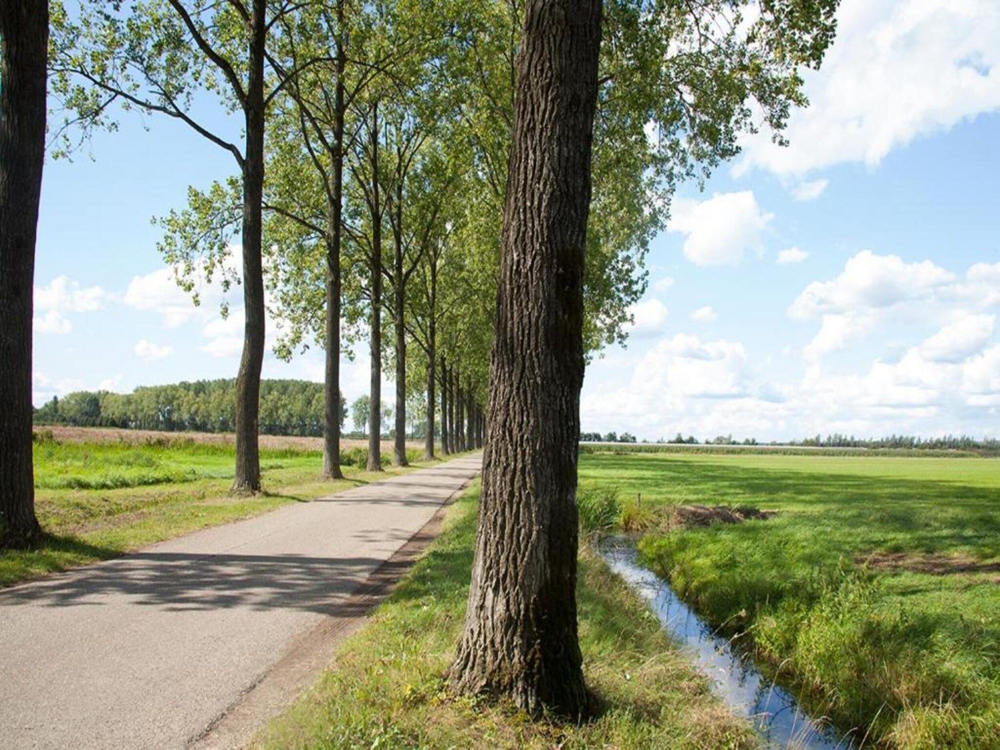 De omgeving van MarinaPark Bad Nederrijn 1 in Maurik