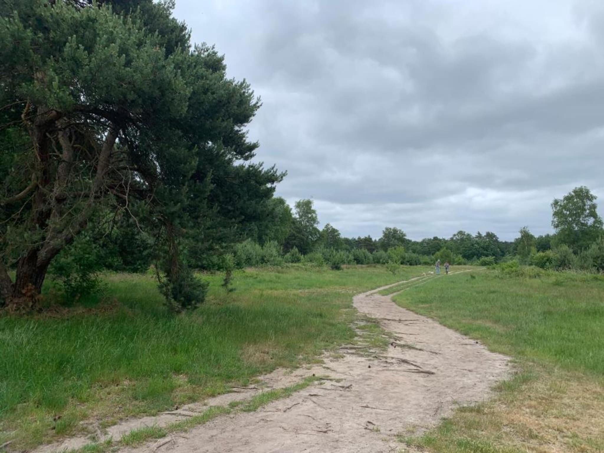 De omgeving van De Veluwse Hoevegaerde 5 in Putten