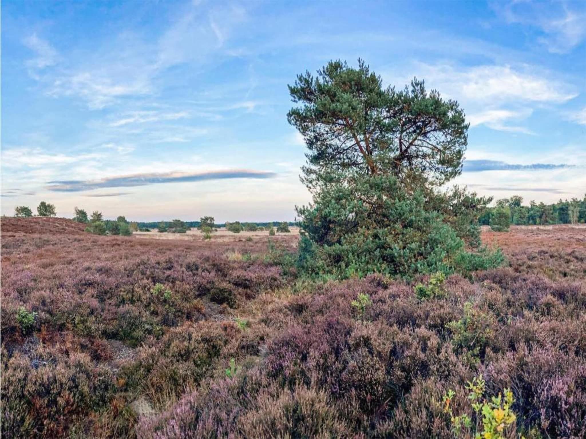 De omgeving van De Veluwse Hoevegaerde 5 in Putten