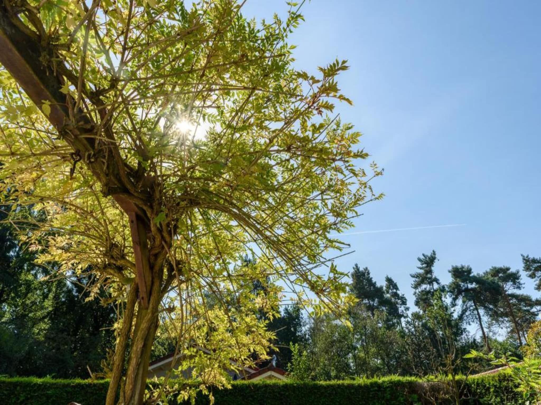 De omgeving van De Veluwse Hoevegaerde 5 in Putten