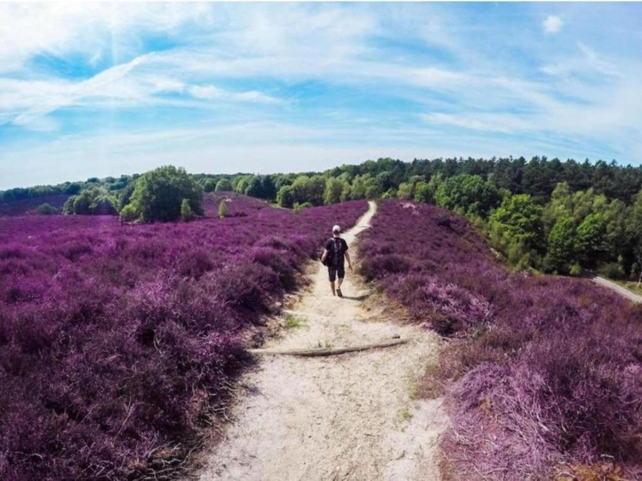 De omgeving van De Veluwse Hoevegaerde 5 in Putten