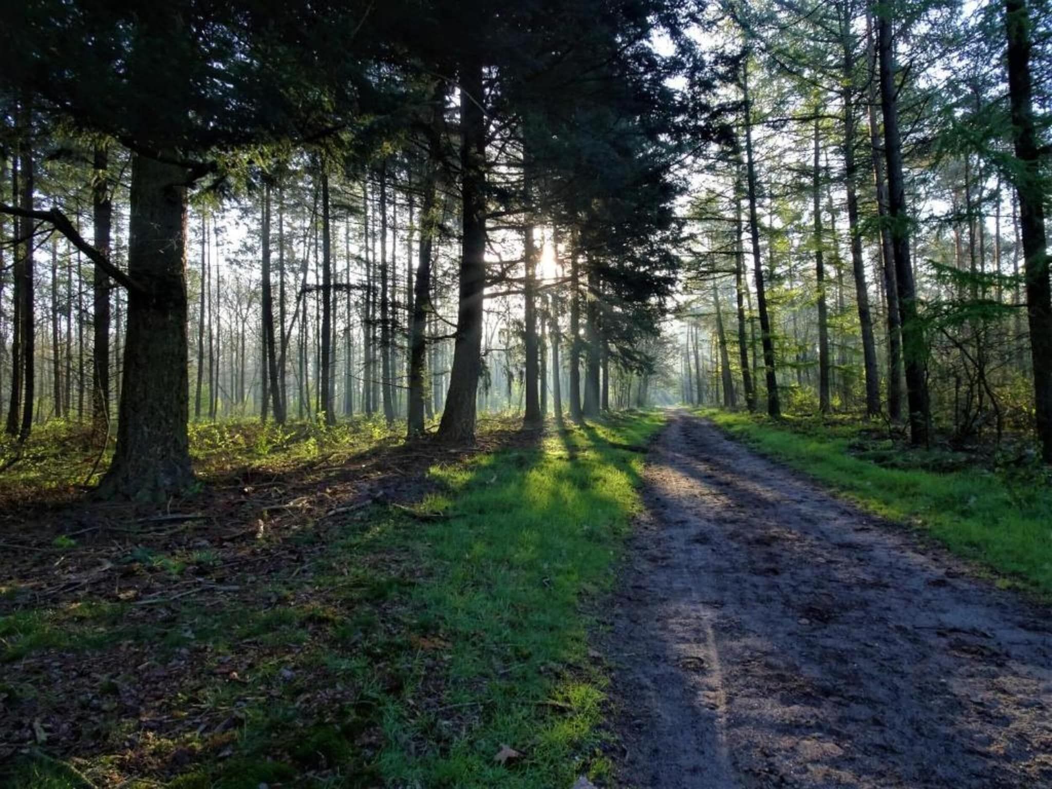 De omgeving van De Veluwse Hoevegaerde 7 in Putten
