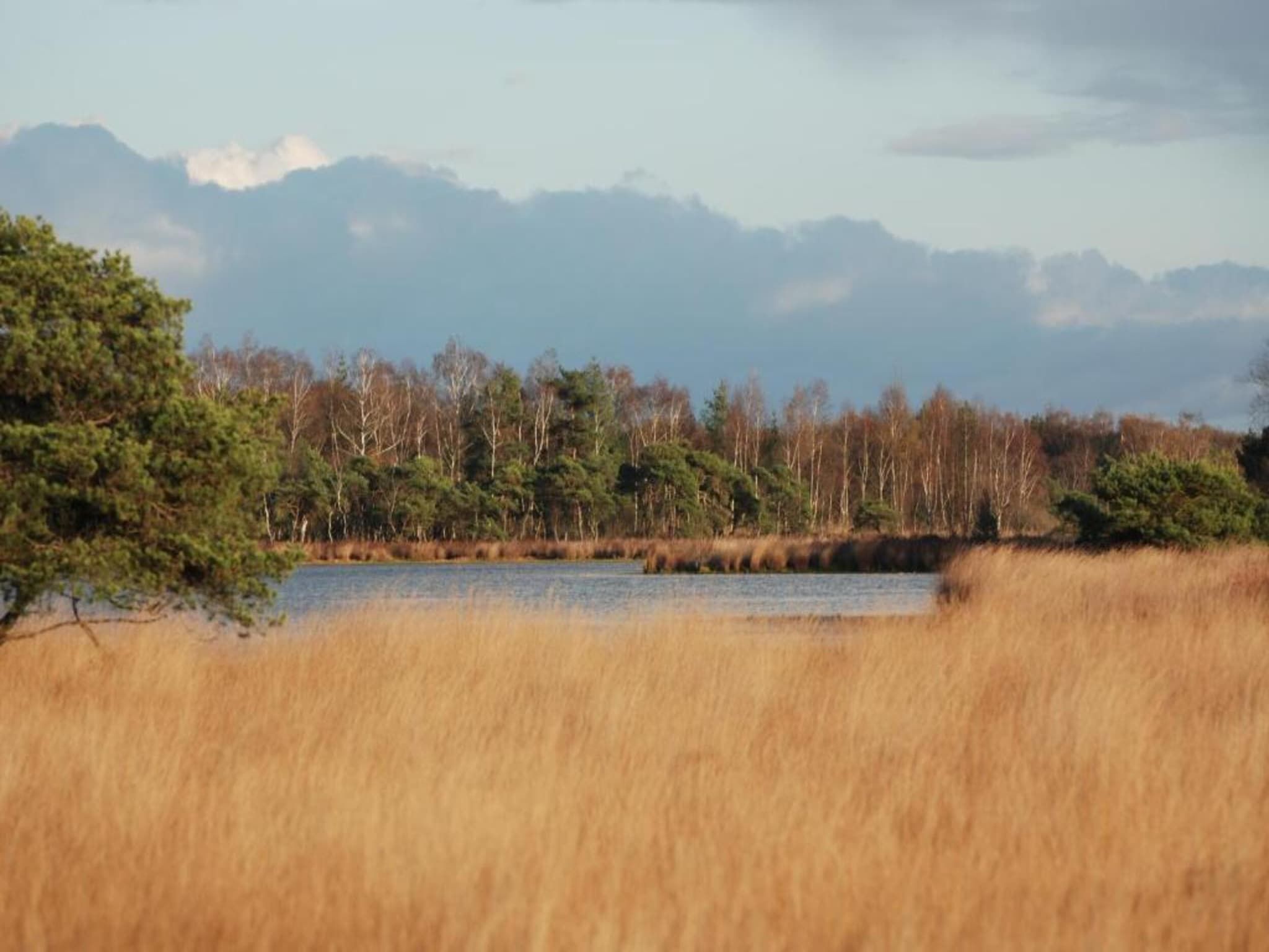 Vakantiepark Molenvelden 3 in Veldhoven - Foto 29 van 39