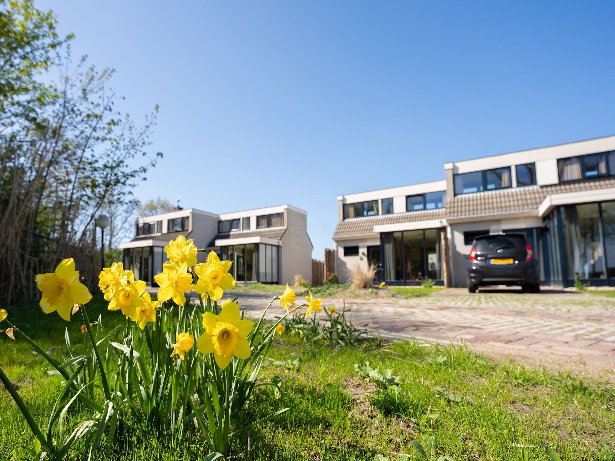 Sfeerbeeld van Vakantiepark 't Eibernest Texel 3 in De Cocksdorp