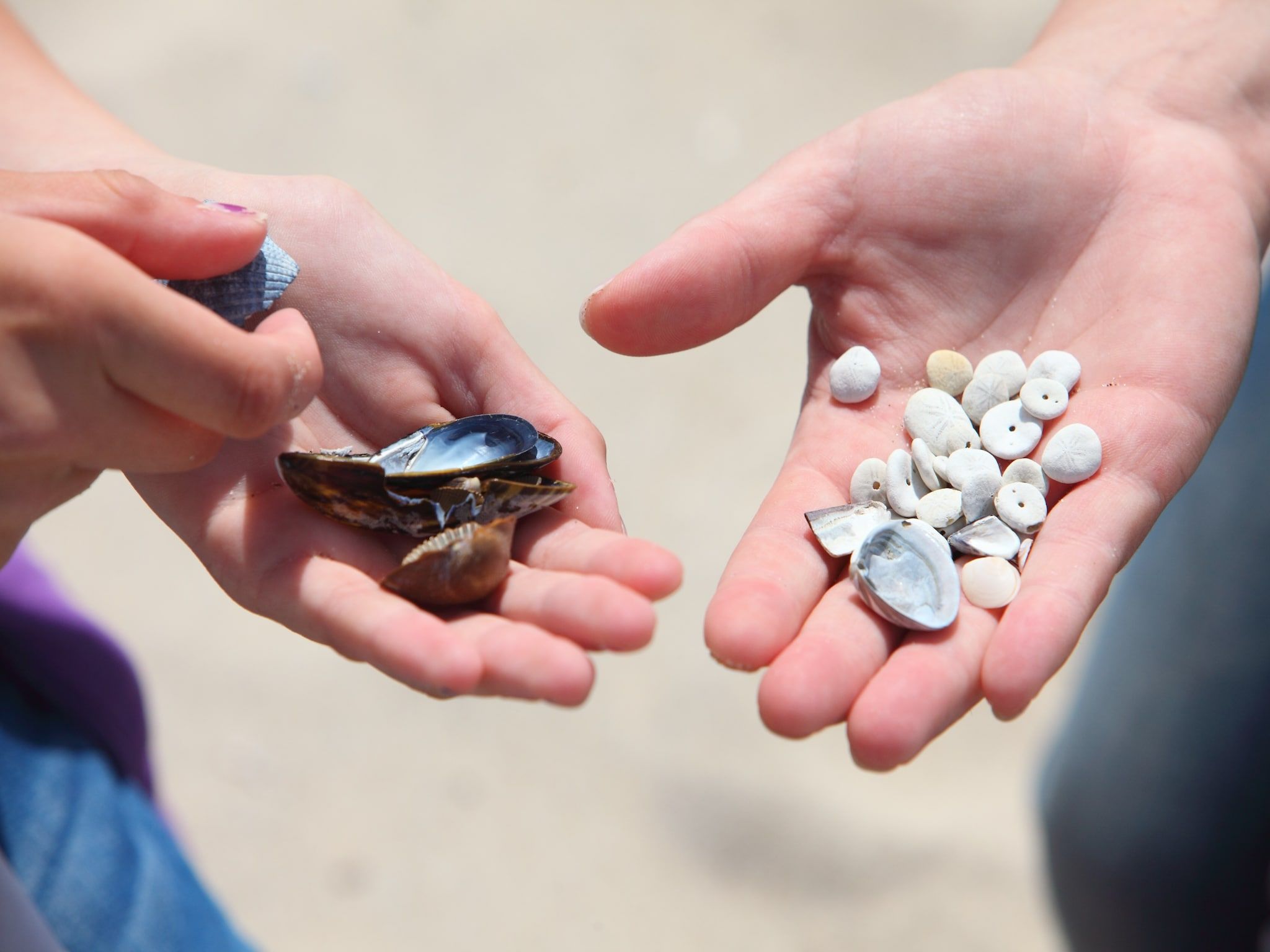 Sfeerbeeld van Vakantiepark Zeebad 11 in Breskens