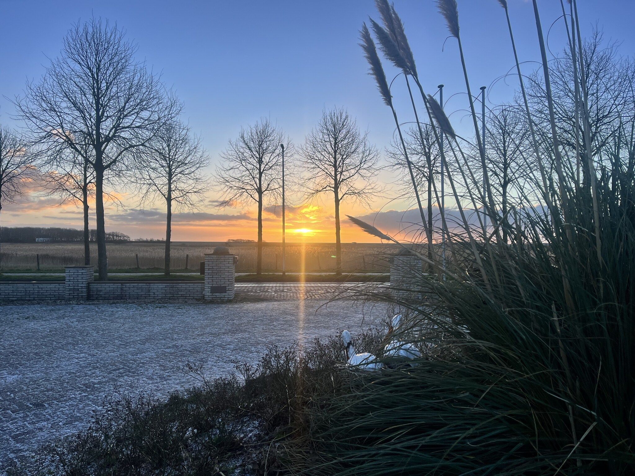 Het uitzicht vanaf Vakantiepark 't Eibernest Texel 6 in De Cocksdorp