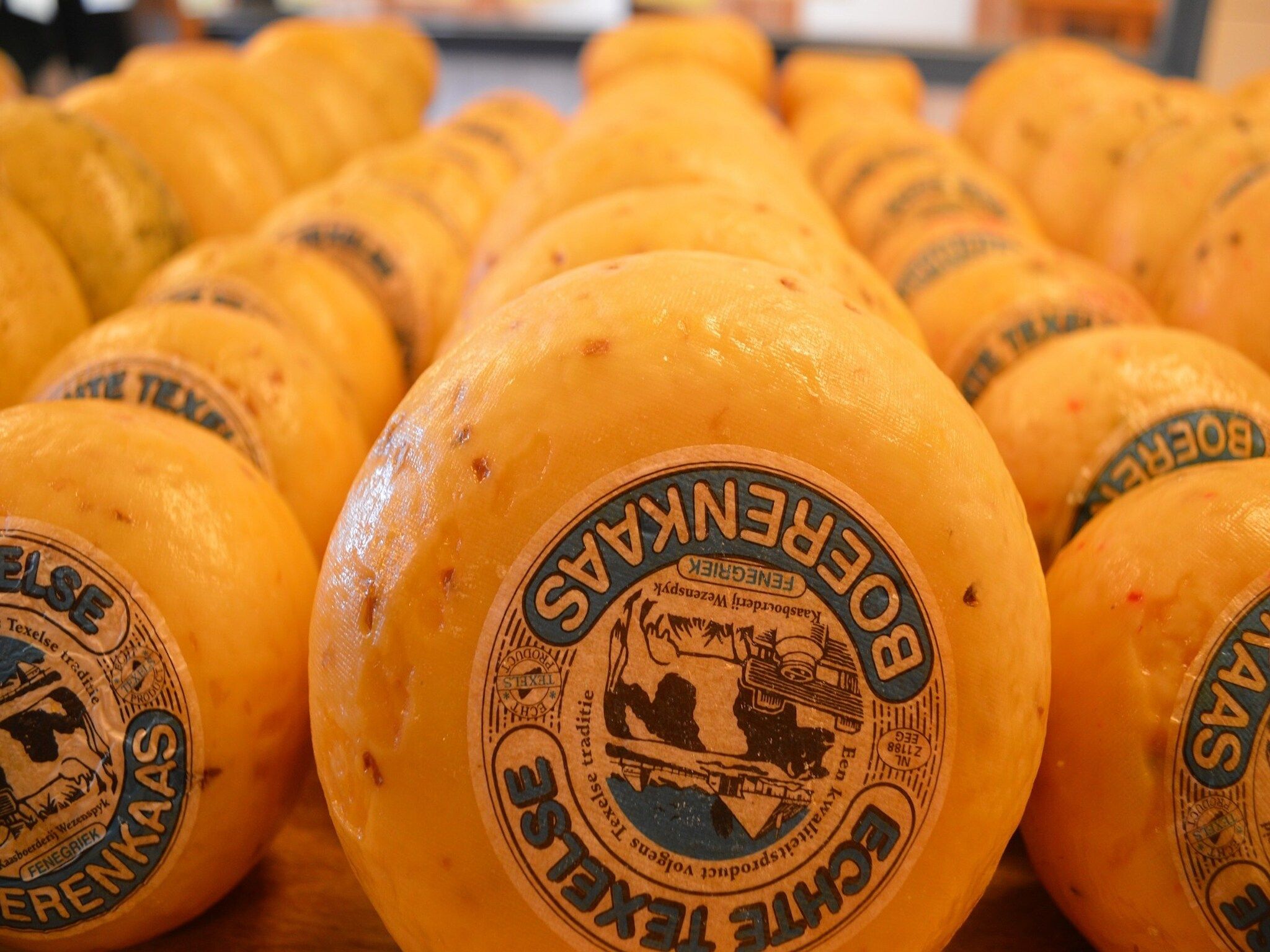 Vakantiepark 't Eibernest Texel 7 in De Cocksdorp - Foto 29 van 31