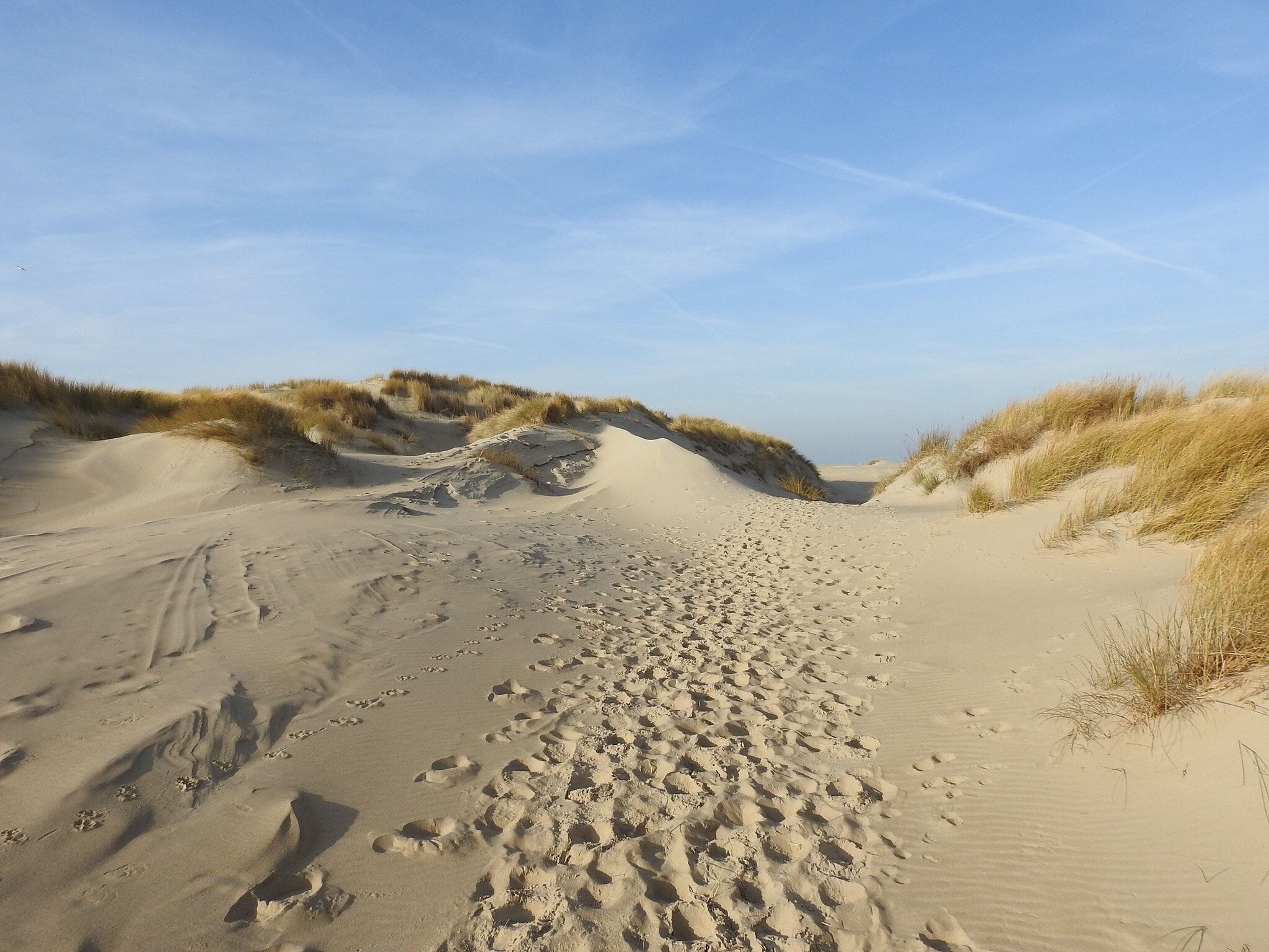 De omgeving van Vakantiepark 't Eibernest Texel 7 in De Cocksdorp