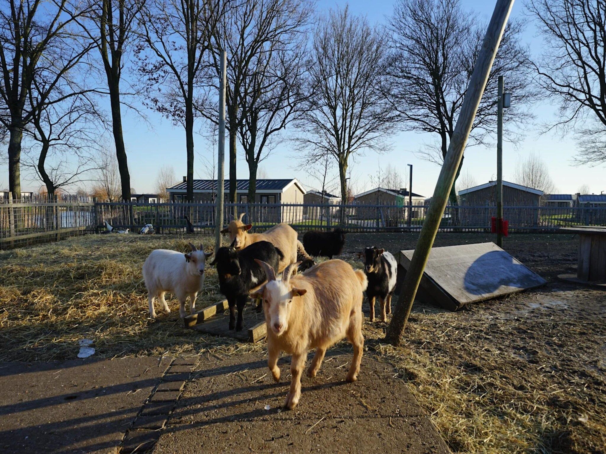 Parkfaciliteiten bij Just Nature 6 in Kampen