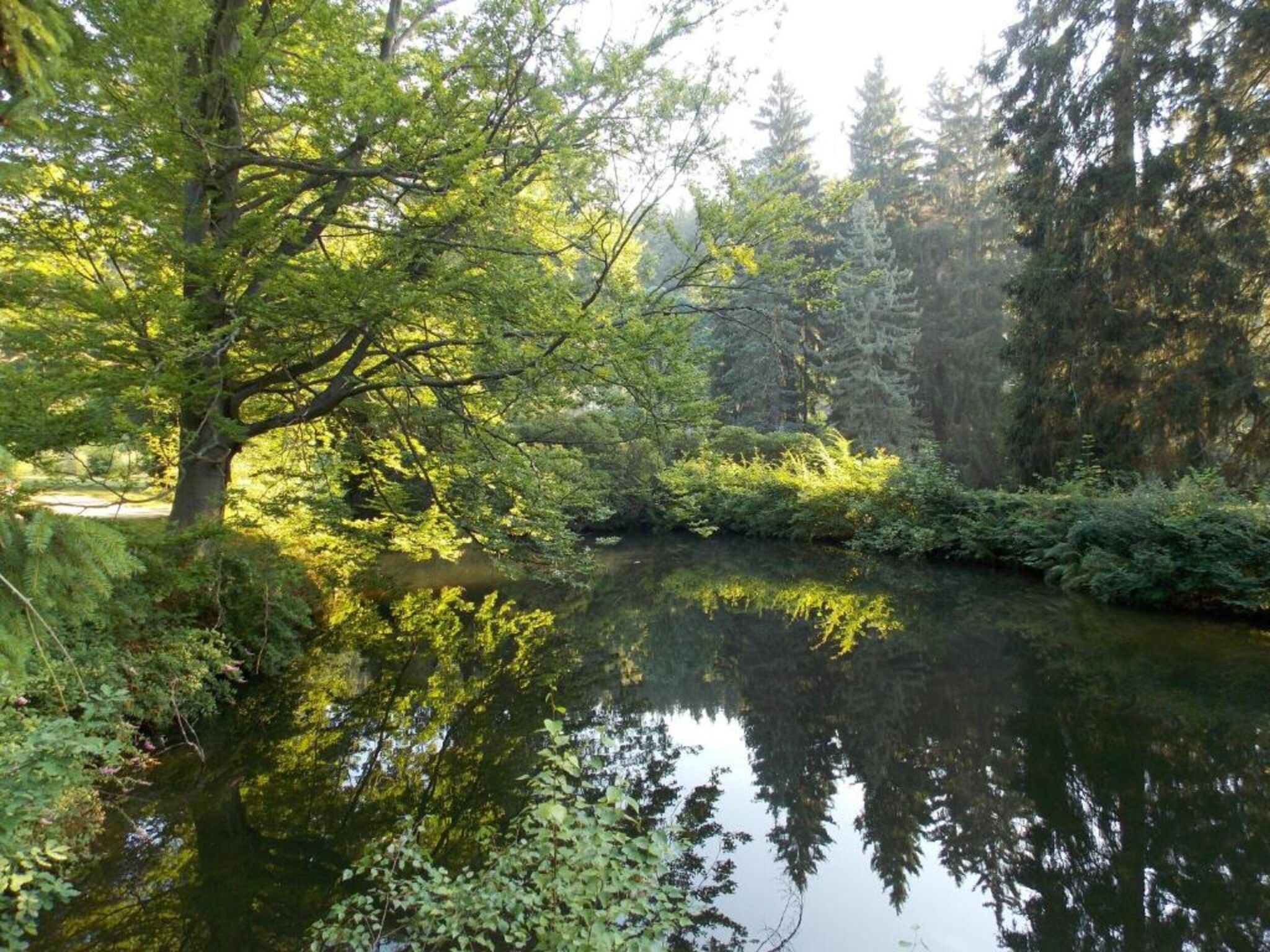 Vakantiepark de Tabaksschuur 4 in Elst - Foto 20 van 26