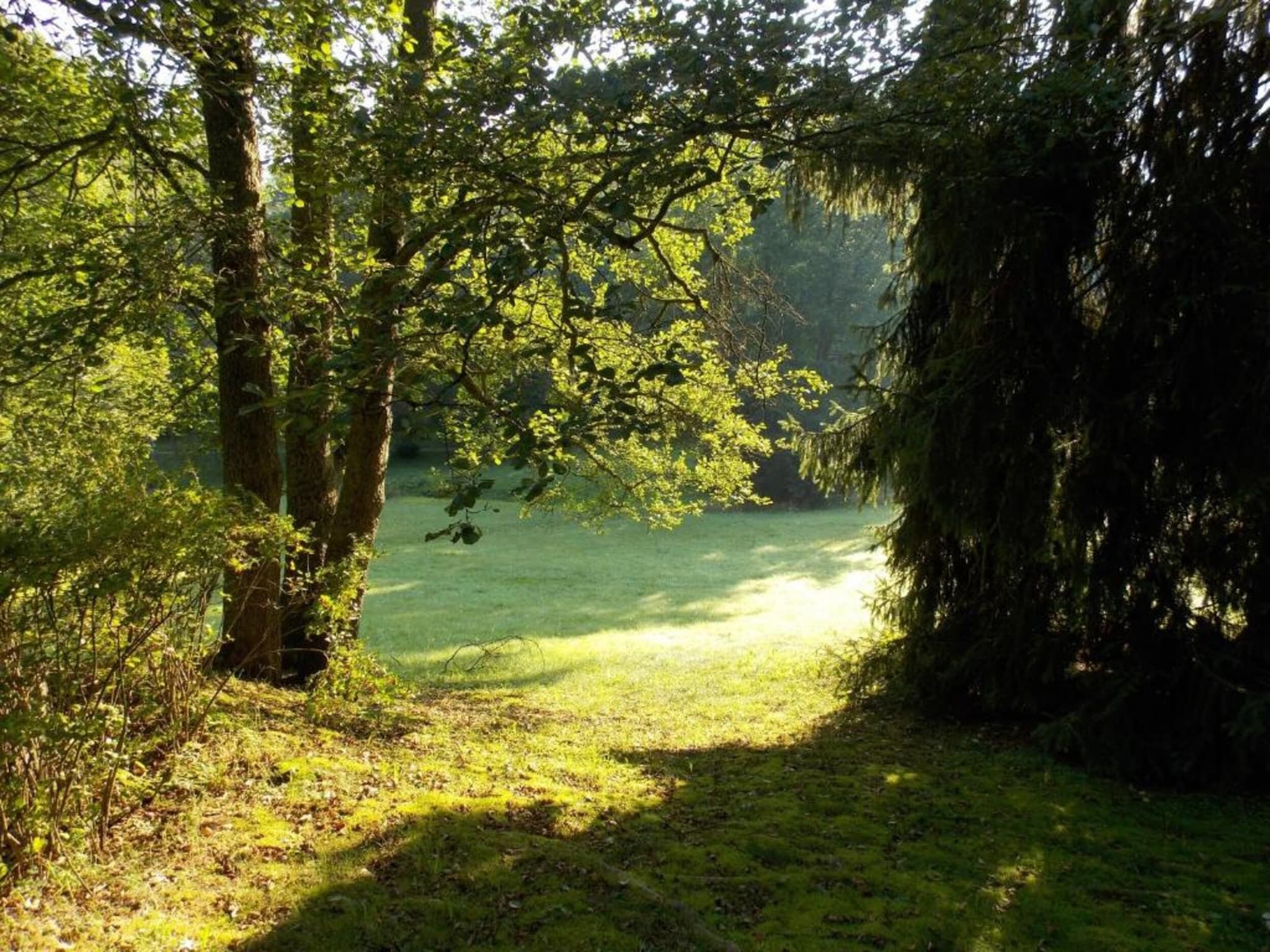 Vakantiepark de Tabaksschuur 4 in Elst - Foto 19 van 26