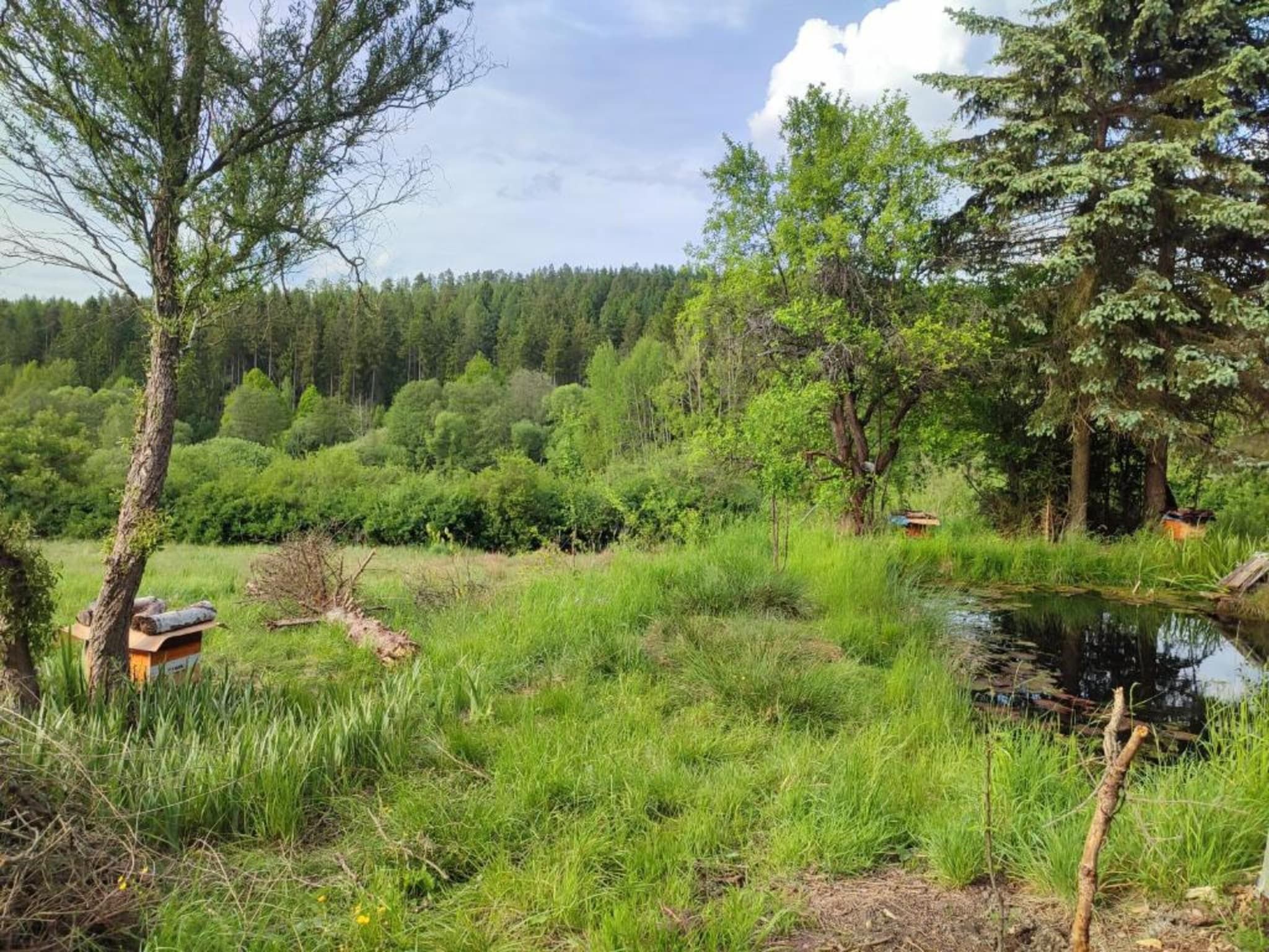 Vakantiepark de Tabaksschuur 4 in Elst - Foto 15 van 26