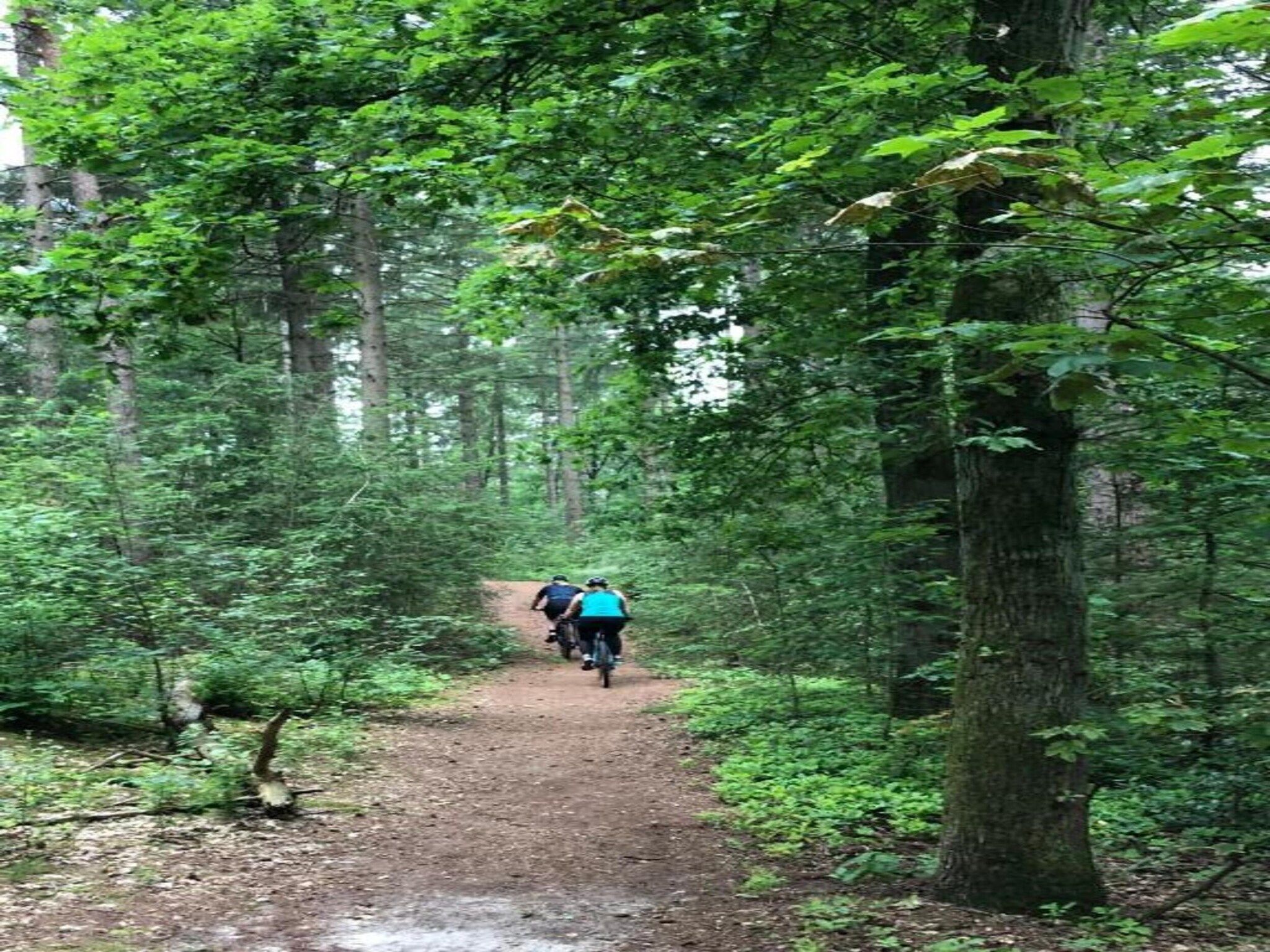 De omgeving van Bospark 't Wolfsven 14 in Mierlo