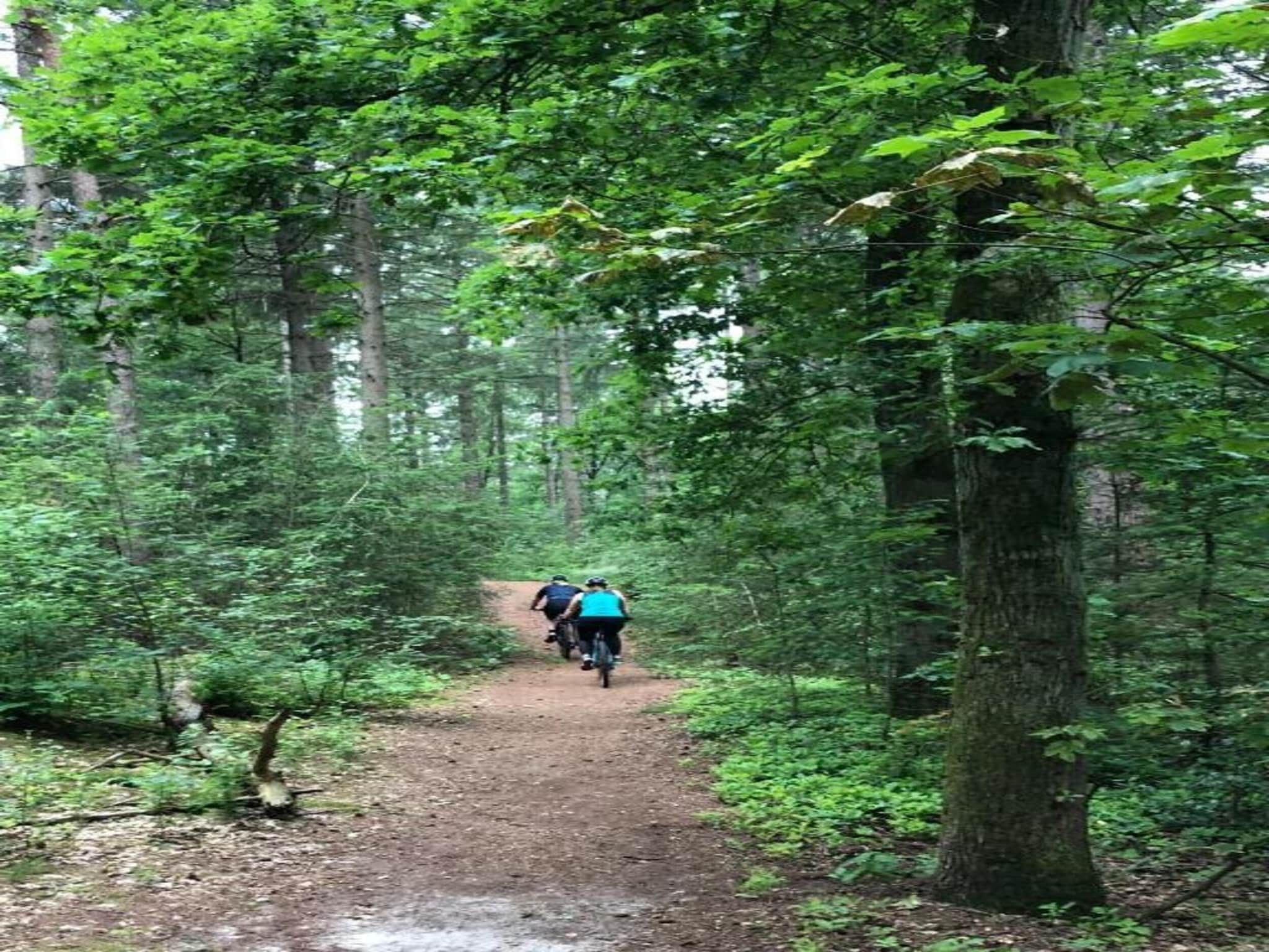 De omgeving van Bospark 't Wolfsven 14 in Mierlo