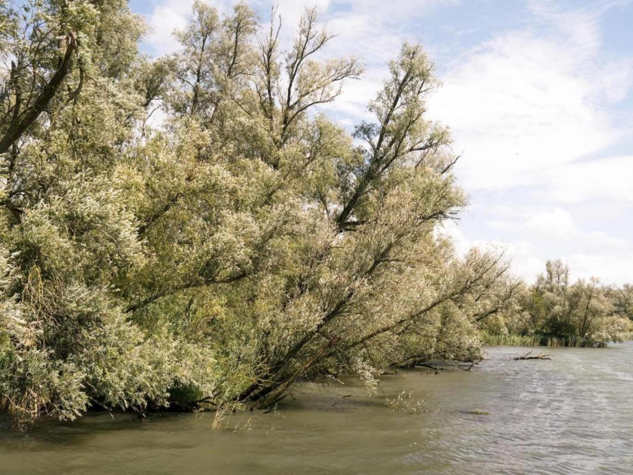 De omgeving van Vakantiepark de Katjeskelder 22 in Oosterhout
