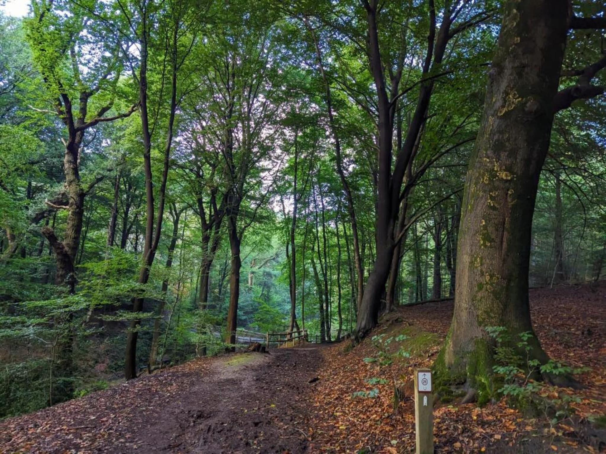 Vakantie bij Meeussen - Molendal 2 in Plasmolen - Foto 27 van 40