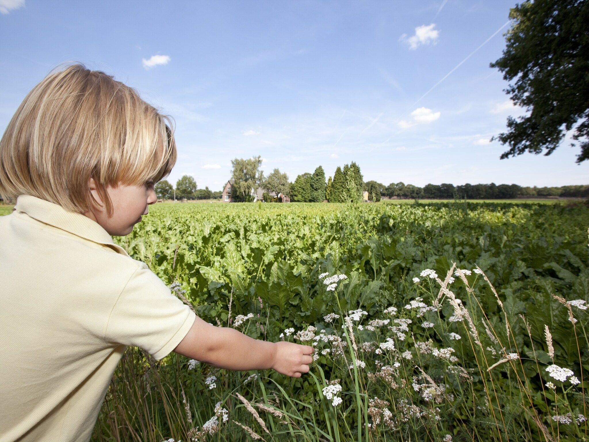 De omgeving van Vakantiepark Hunzedal 16 in Borger