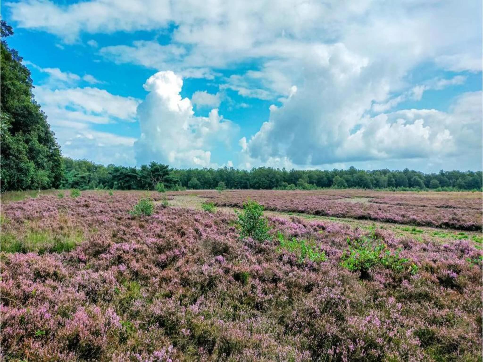 Vakantiepark Hunzedal 16 in Borger - Foto 36 van 40