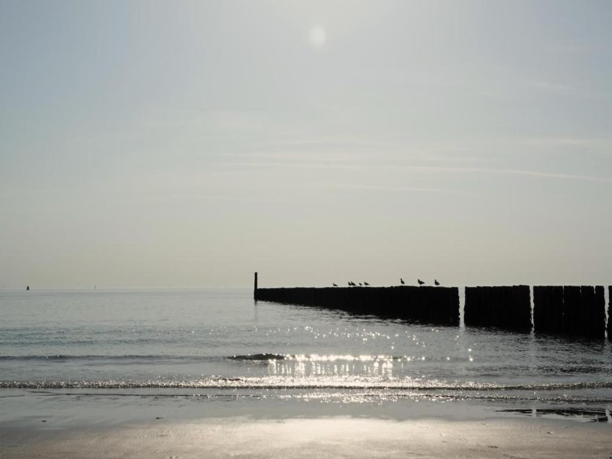 Vakantiepark Hof van Zeeland 5 in Heinkenszand - Foto 38 van 40