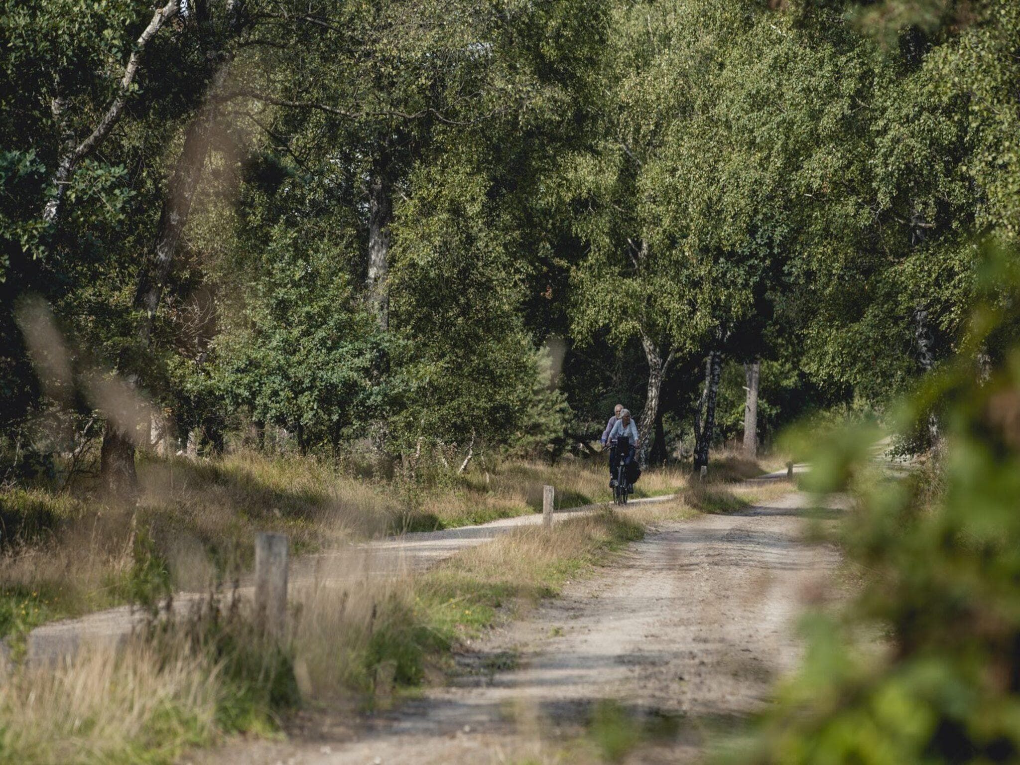 De omgeving van Vakantiepark Mölke 30 in Zuna