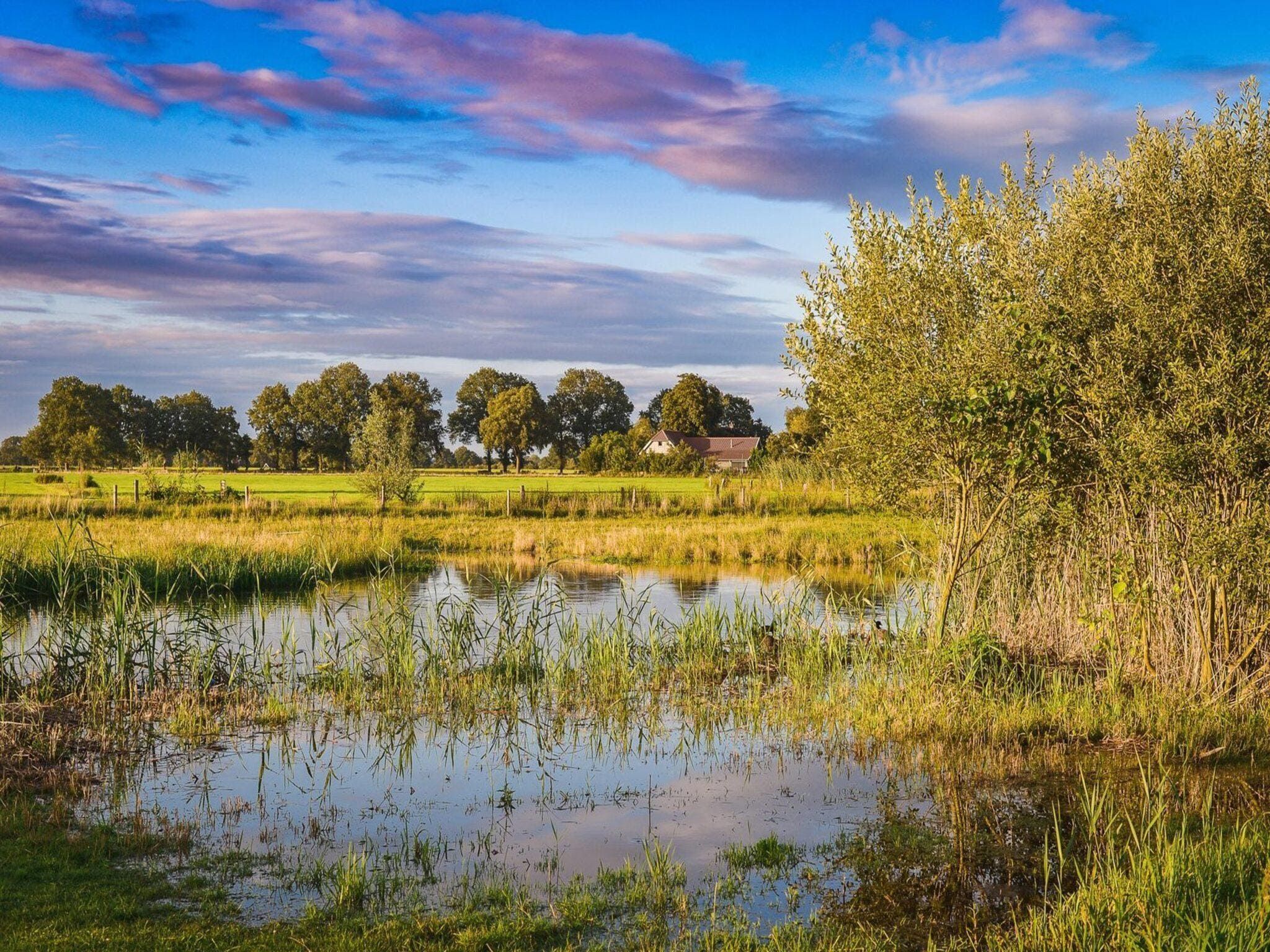De omgeving van Vakantiepark Mölke 30 in Zuna