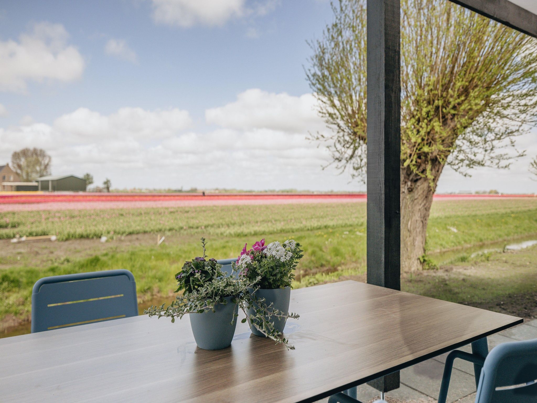 Het terras van Park Wijdenes 4 in Wijdenes