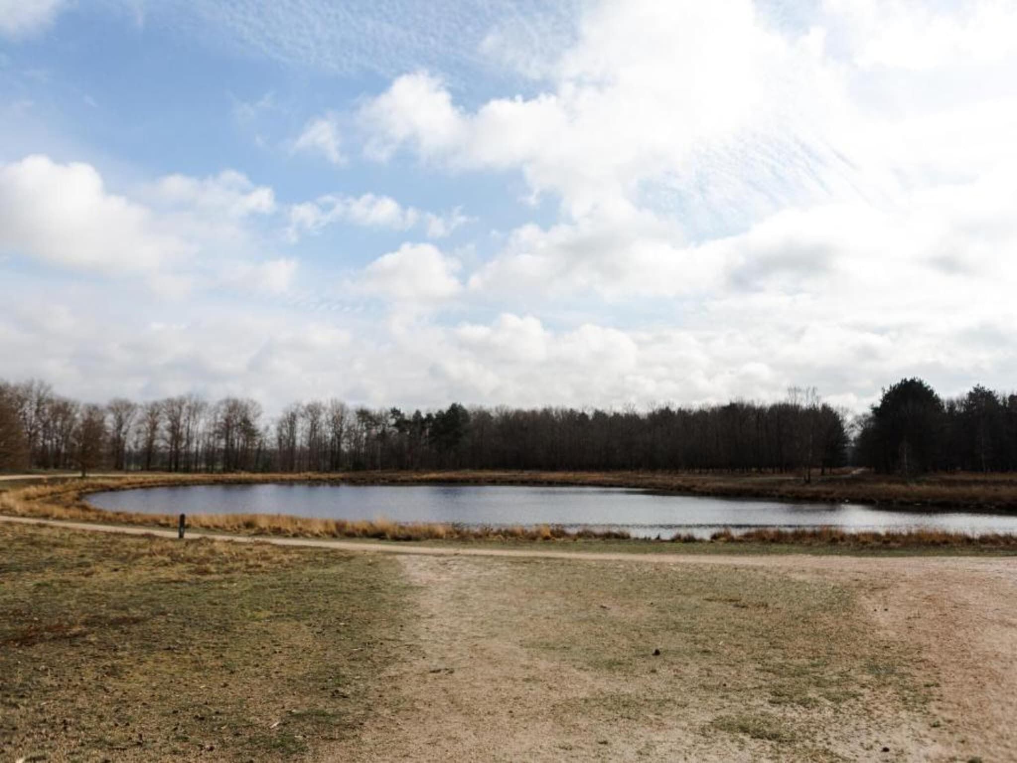 De omgeving van Bospark 't Wolfsven 15 in Mierlo