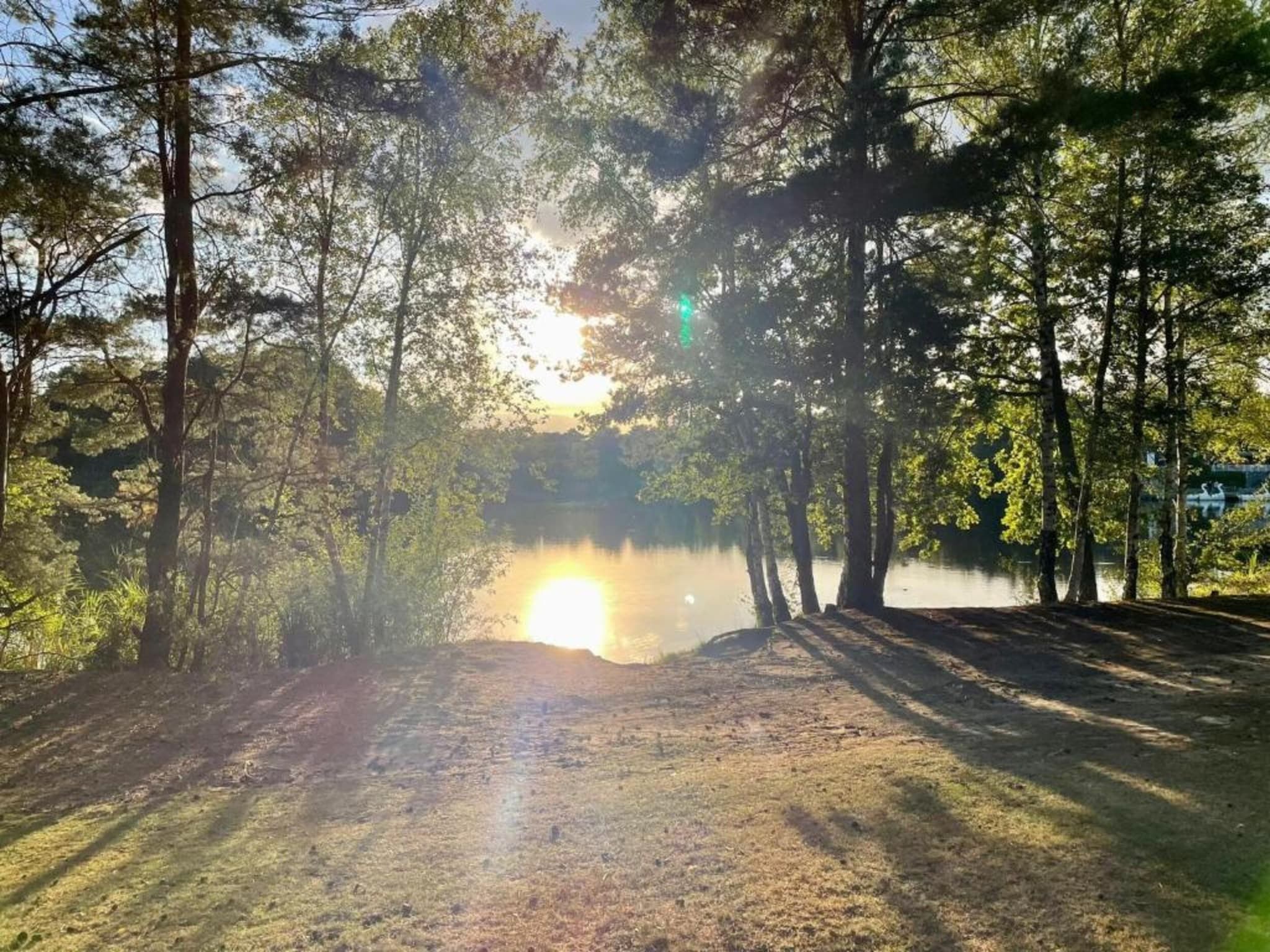 De omgeving van Bospark 't Wolfsven 16 in Mierlo