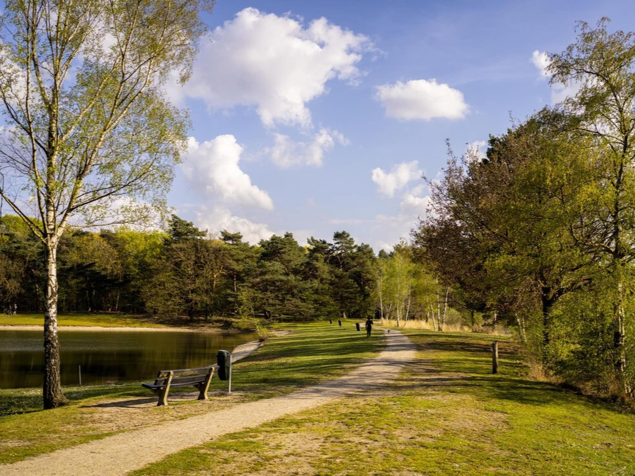 Parkfaciliteiten bij Bospark 't Wolfsven 16 in Mierlo
