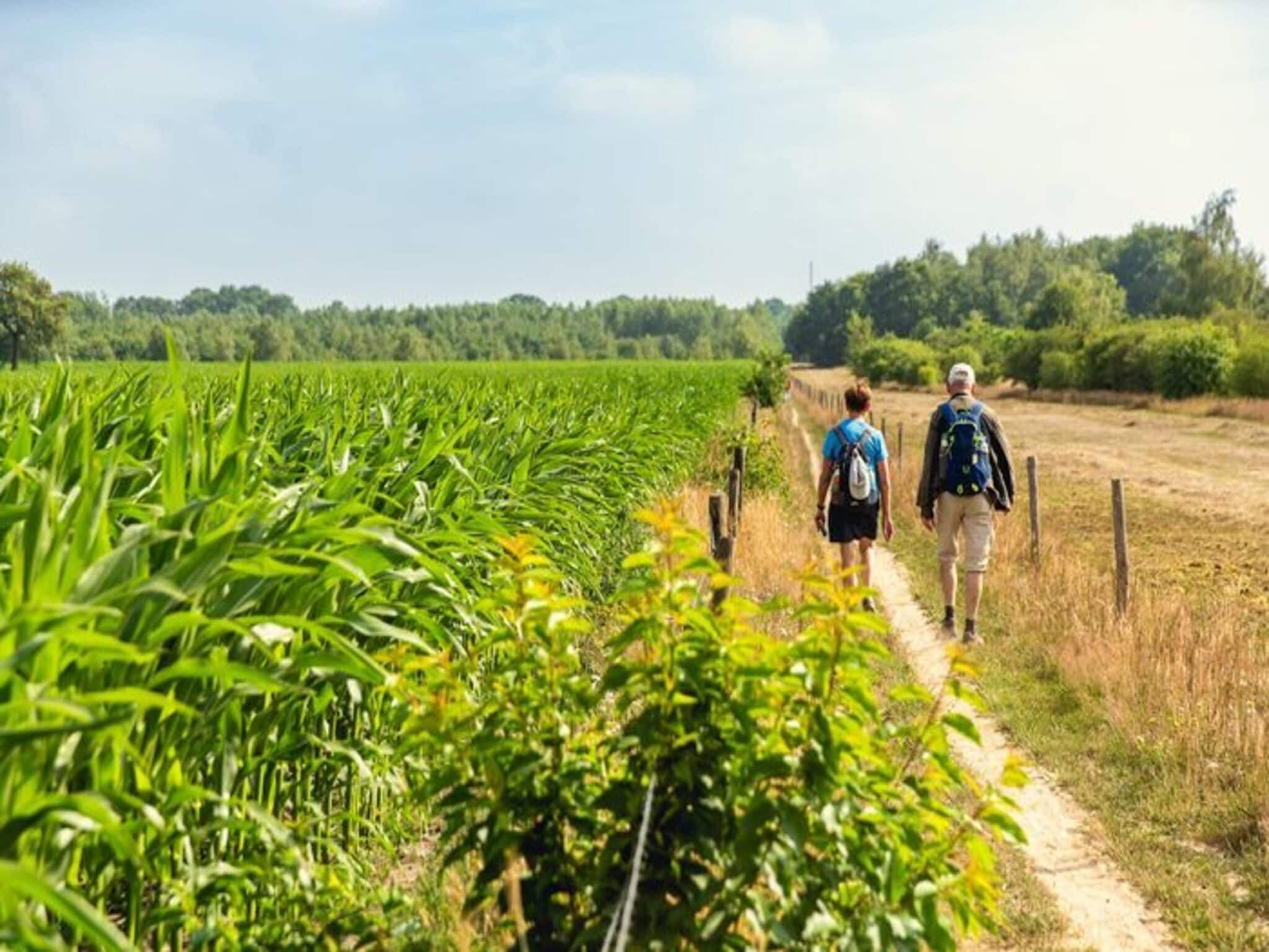 De omgeving van Buitenplaats Holten 18 in Rijssen