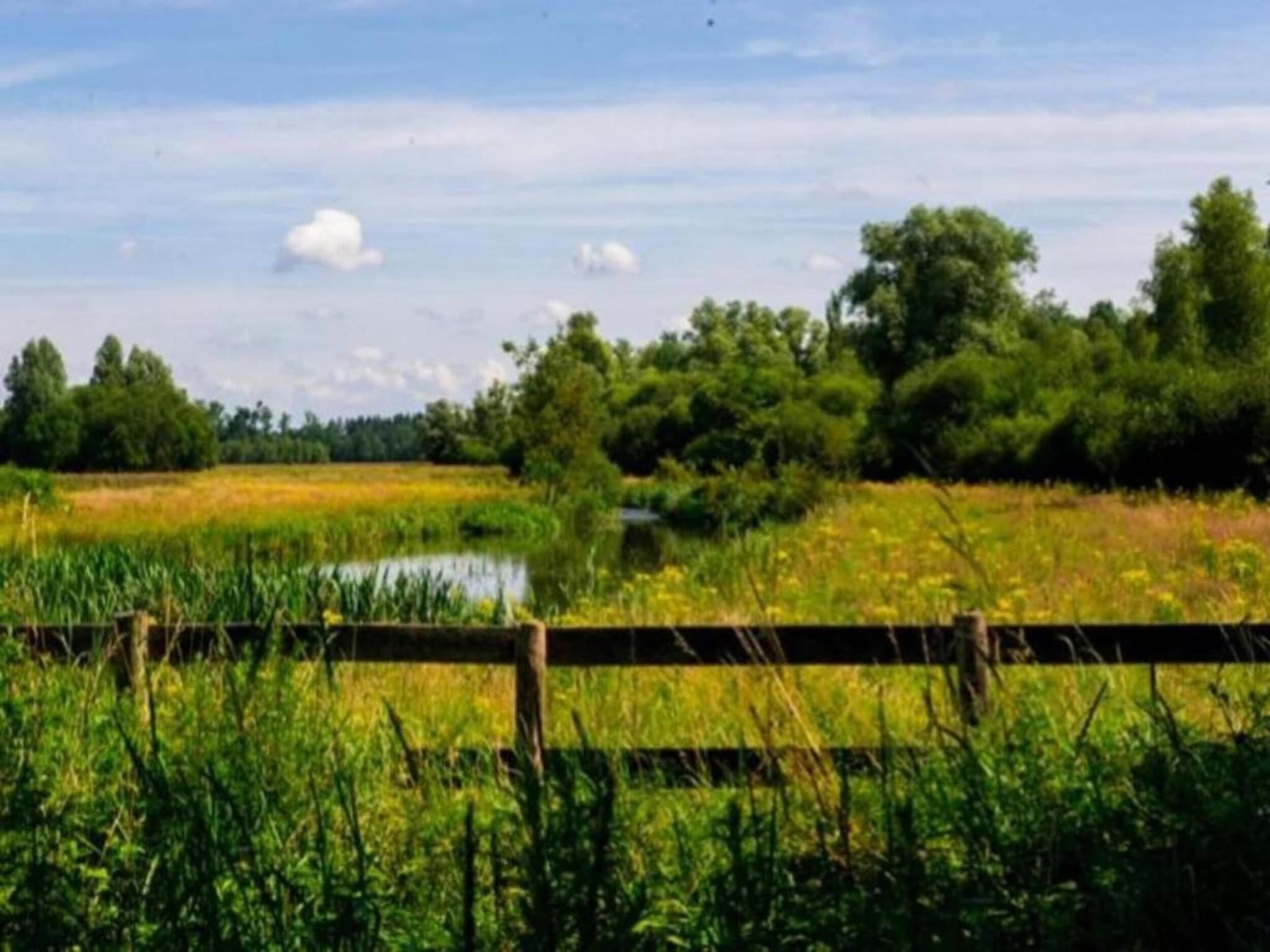 De omgeving van Vakantiepark Schaijk 5 in Schaijk