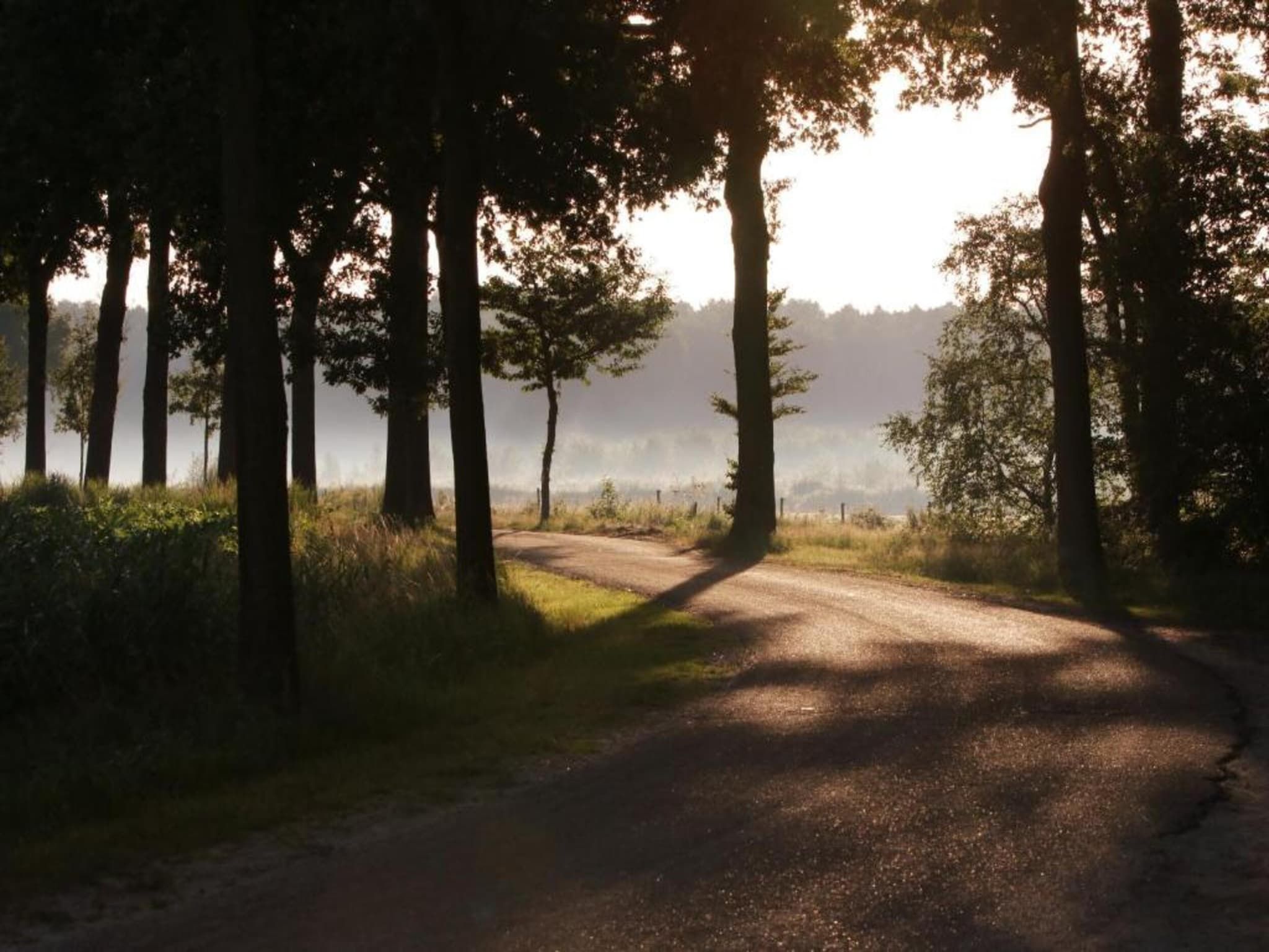 De omgeving van Bospark 't Wolfsven 18 in Mierlo