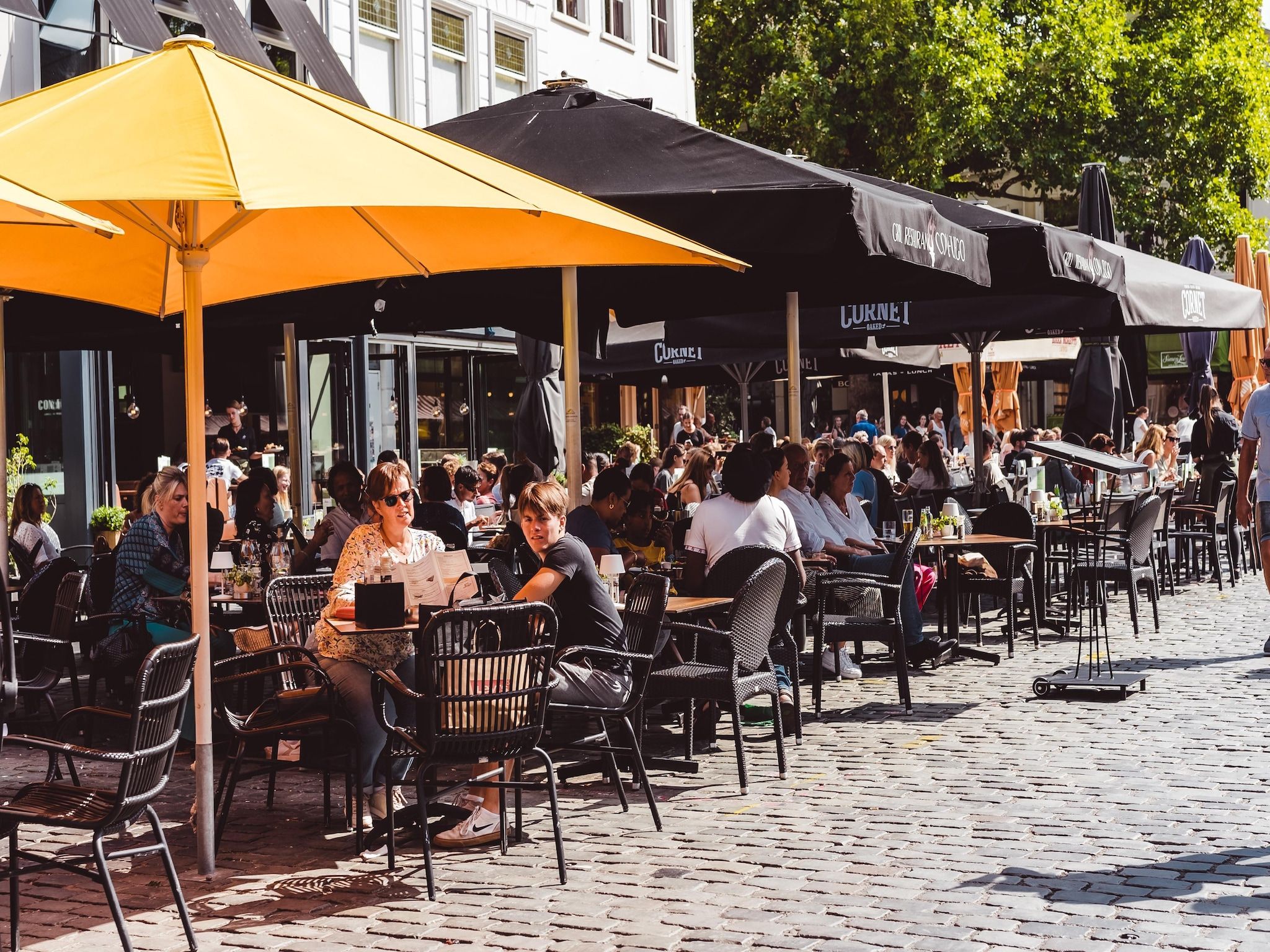 De omgeving van Vakantiepark De Heihorsten 9 in Someren