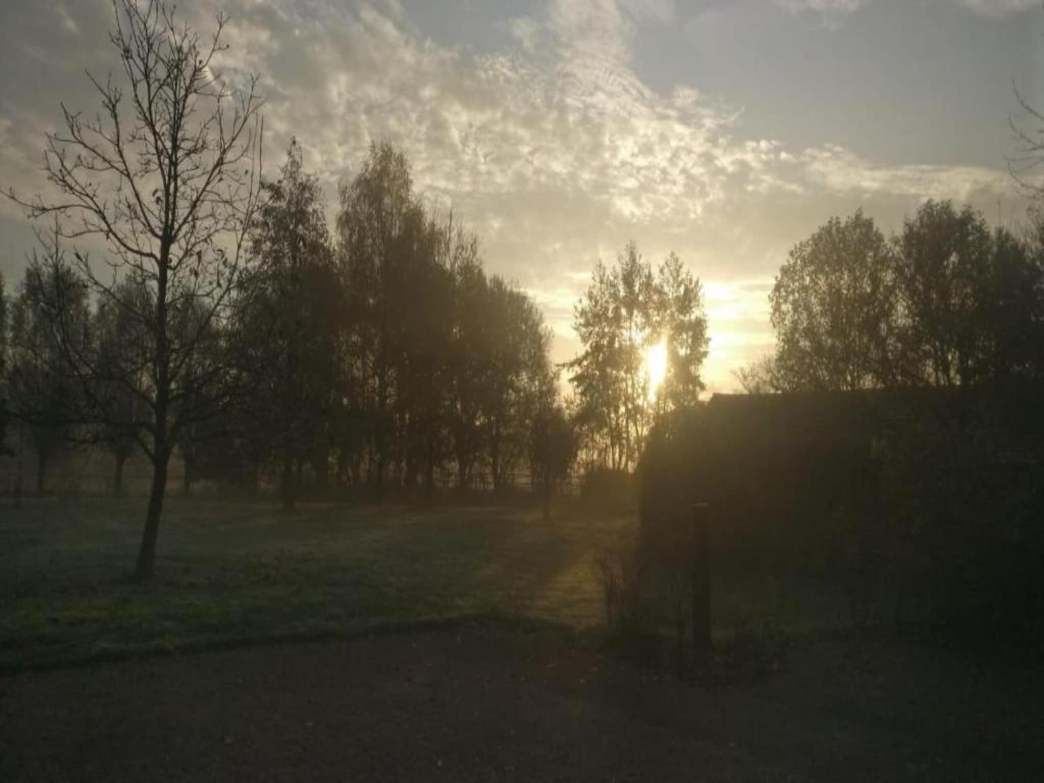 De omgeving van Vakantiepark De Heihorsten 9 in Someren