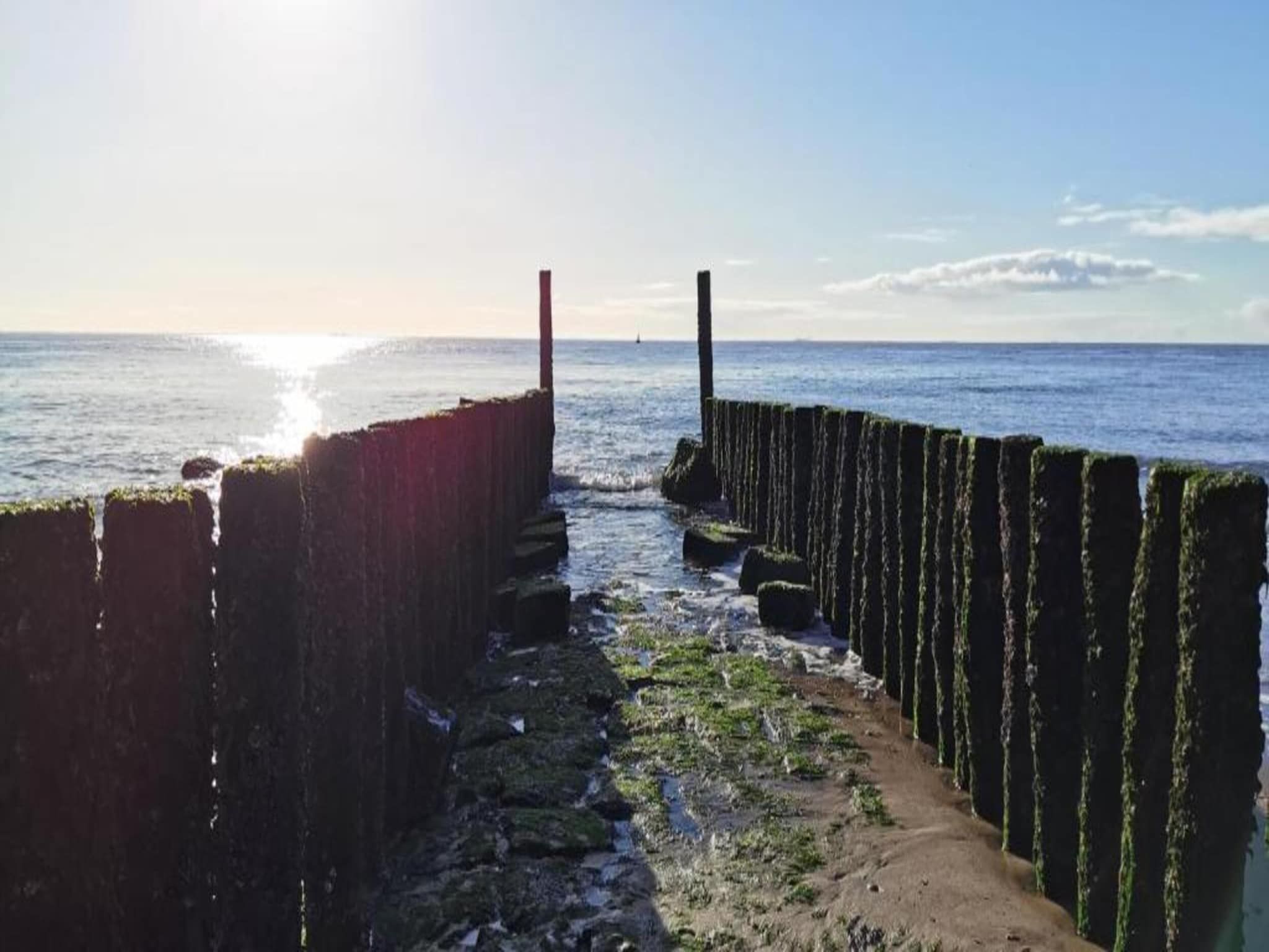 De omgeving van Vakantiepark Zeebad 18 in Breskens