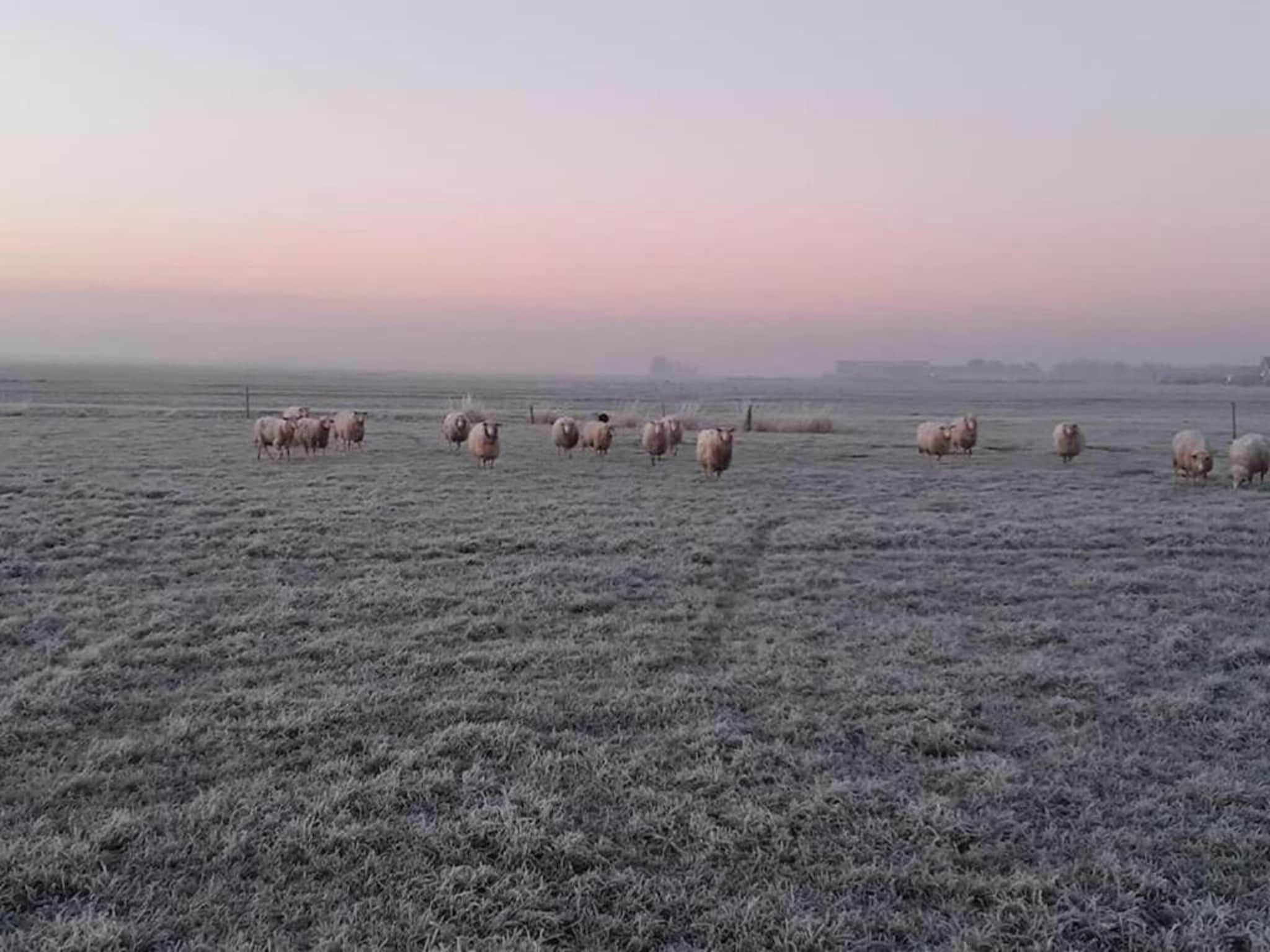 Recreatiepark Idskenhuizen 2 in Idskenhuizen - Foto 31 van 41