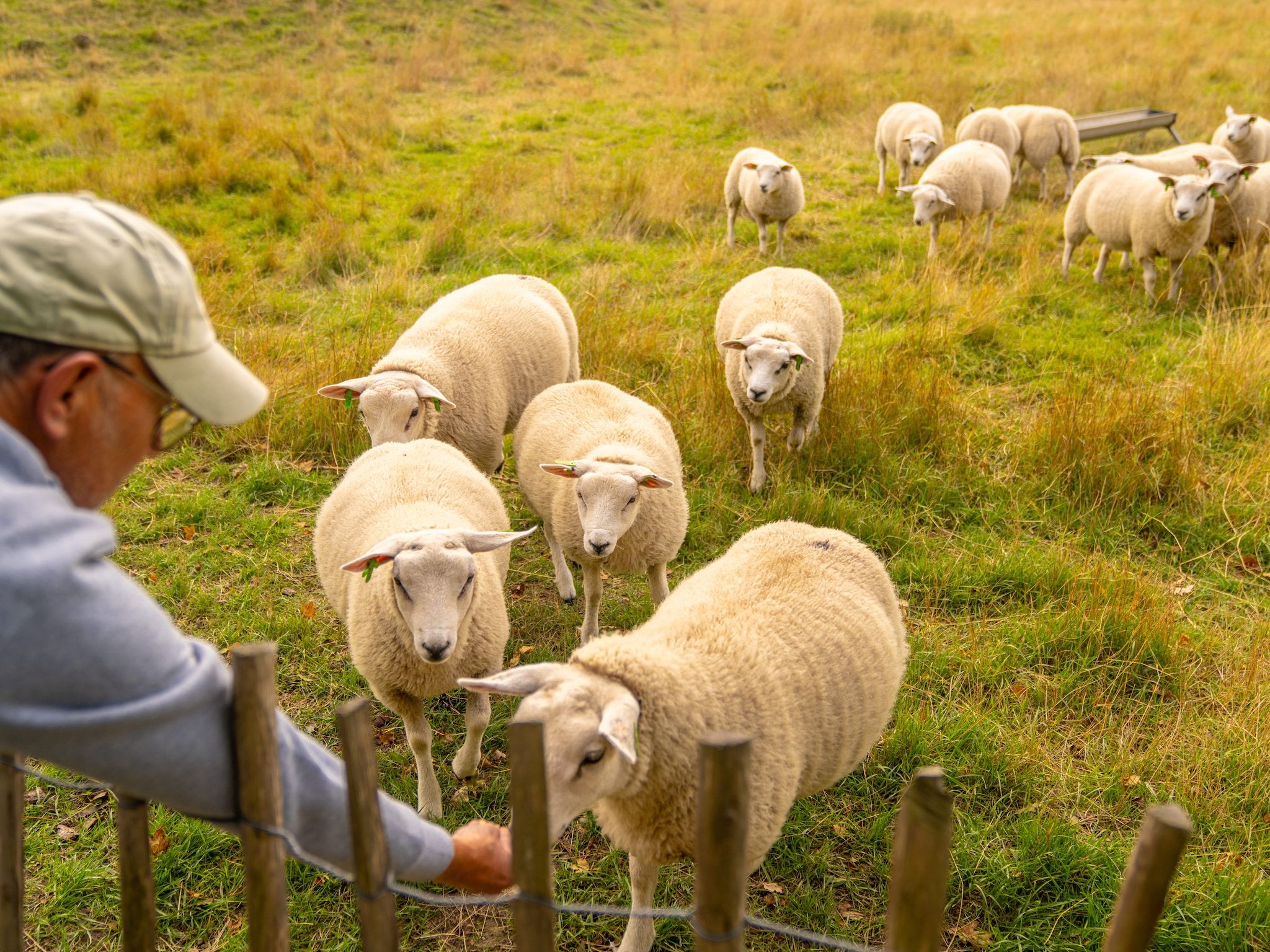 Parkfaciliteiten bij Beach Resort Brouwersdam 1 in Scharendijke