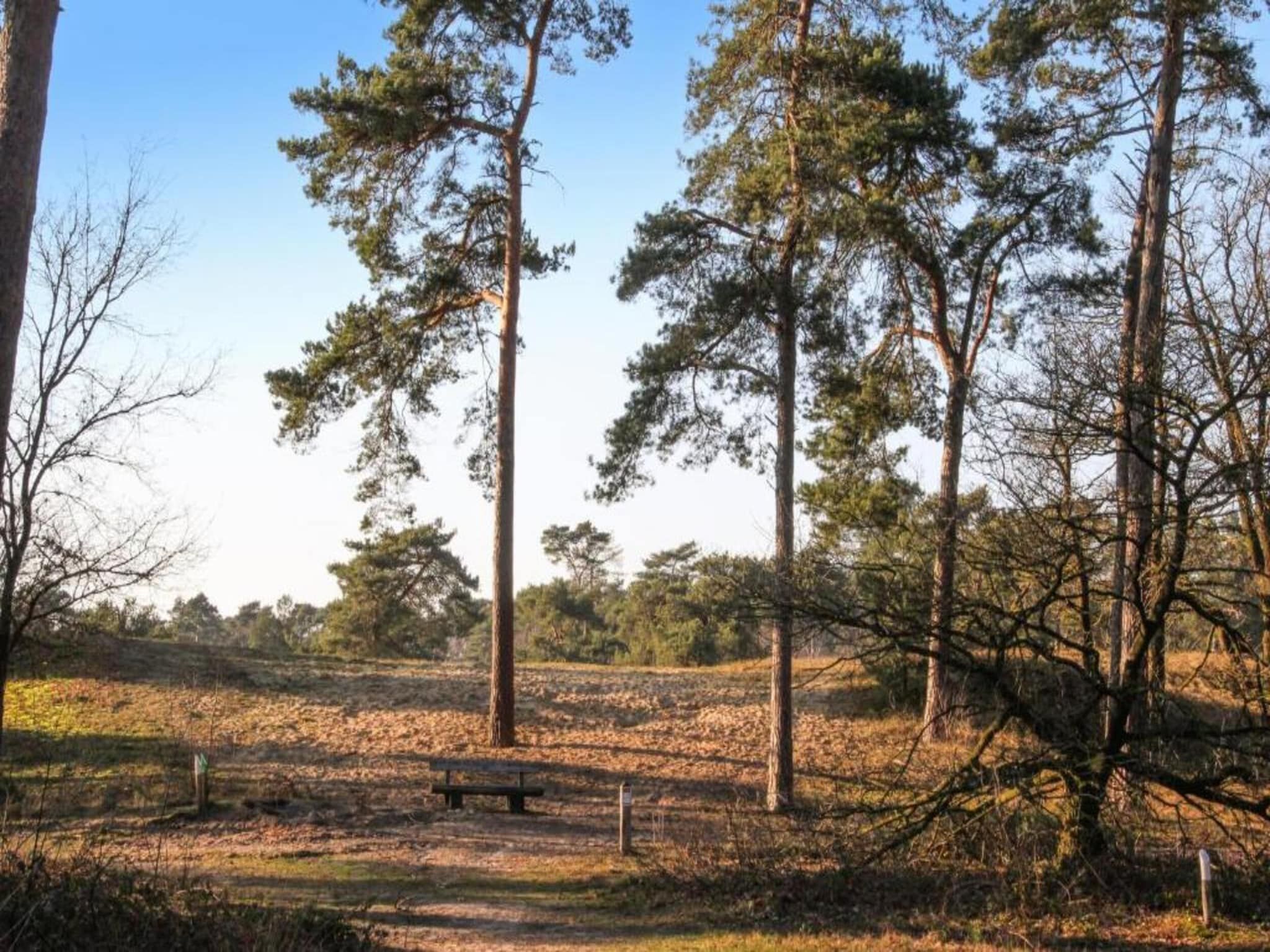 Vakantiepark Leukermeer 1 in Well - Foto 37 van 43