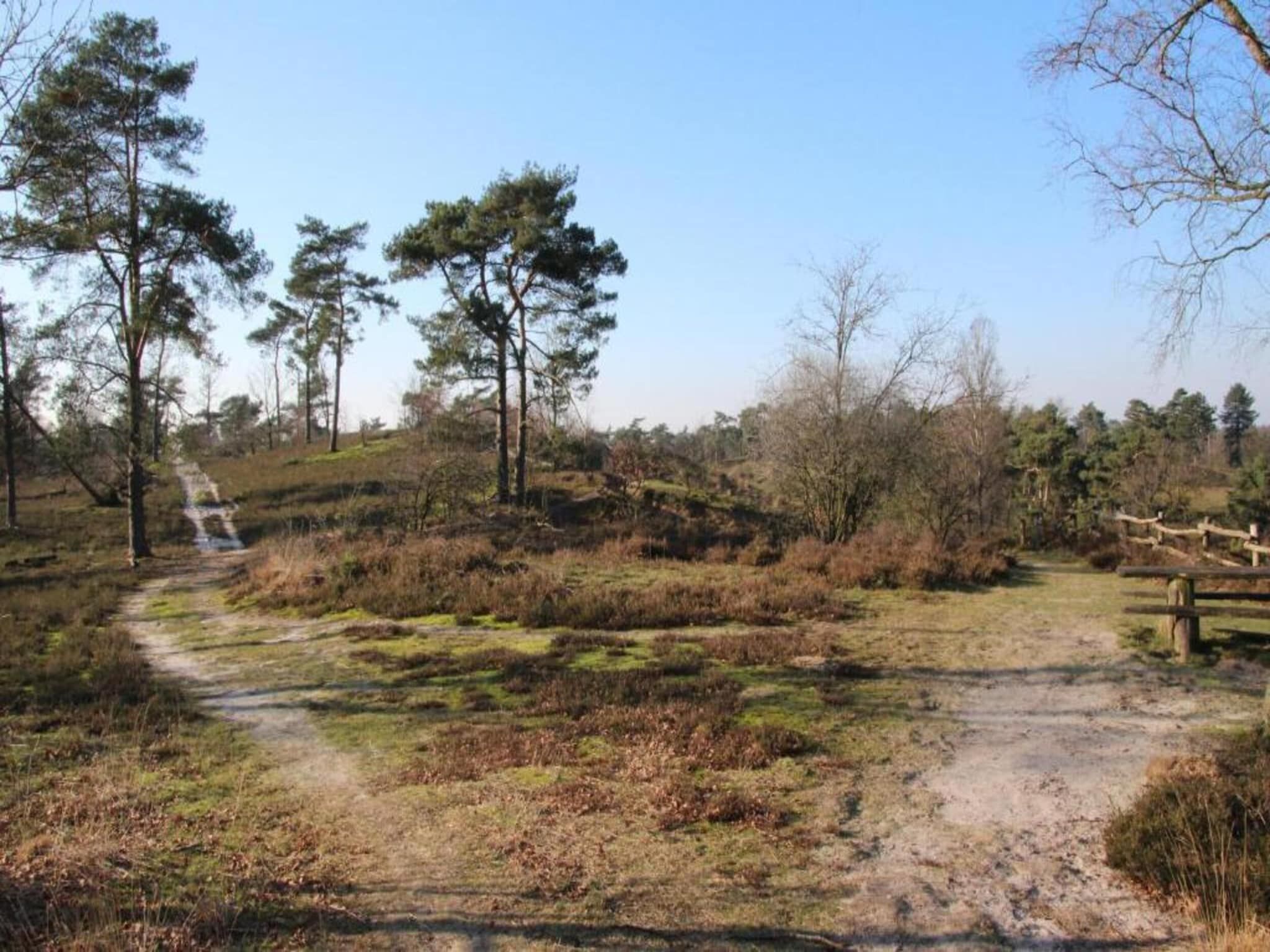 Vakantiepark Leukermeer 2 in Well - Foto 33 van 40