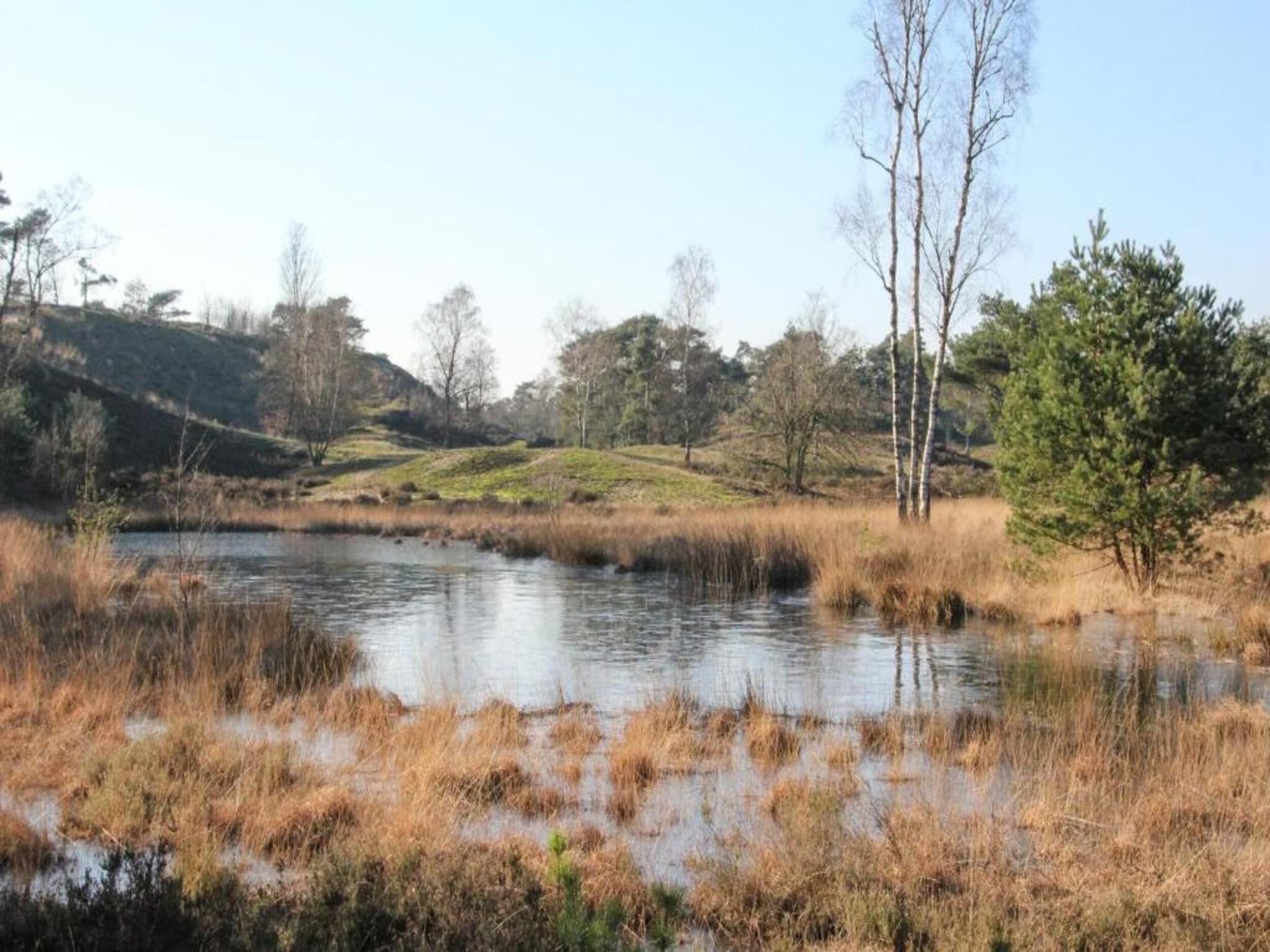 Vakantiepark Leukermeer 4 in Well - Foto 37 van 40