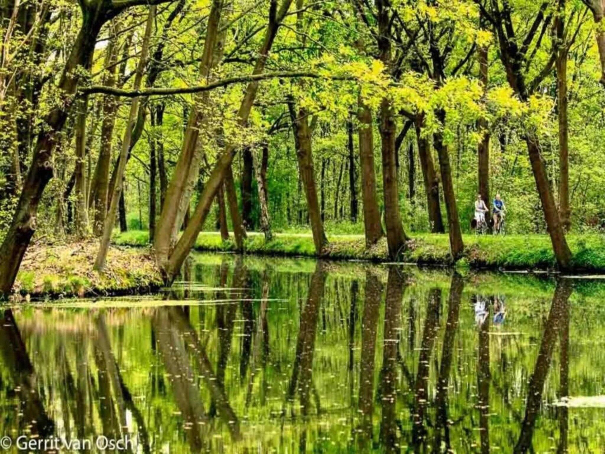 Vakantiepark Leukermeer 7 in Well - Foto 24 van 40