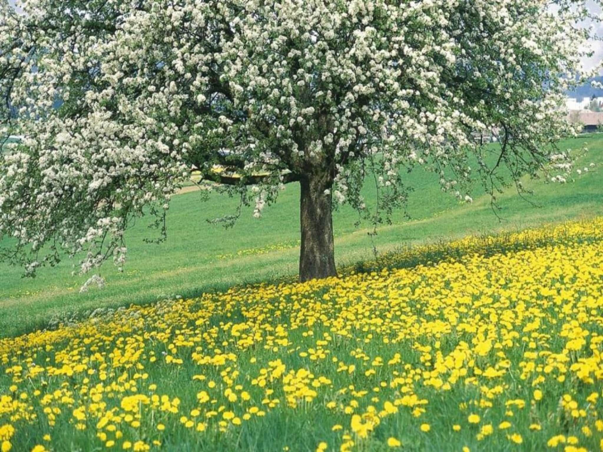 Vakantiepark Leukermeer 8 in Well - Foto 20 van 40