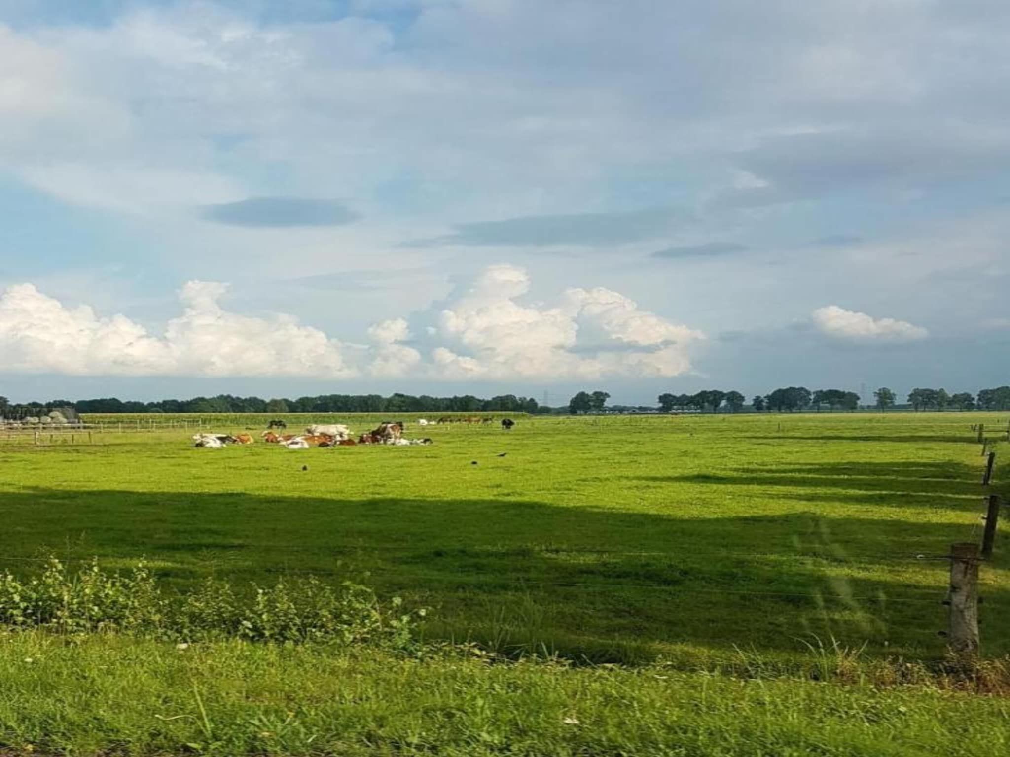 Buitenplaats Gerner 7 in Dalfsen - Foto 36 van 40