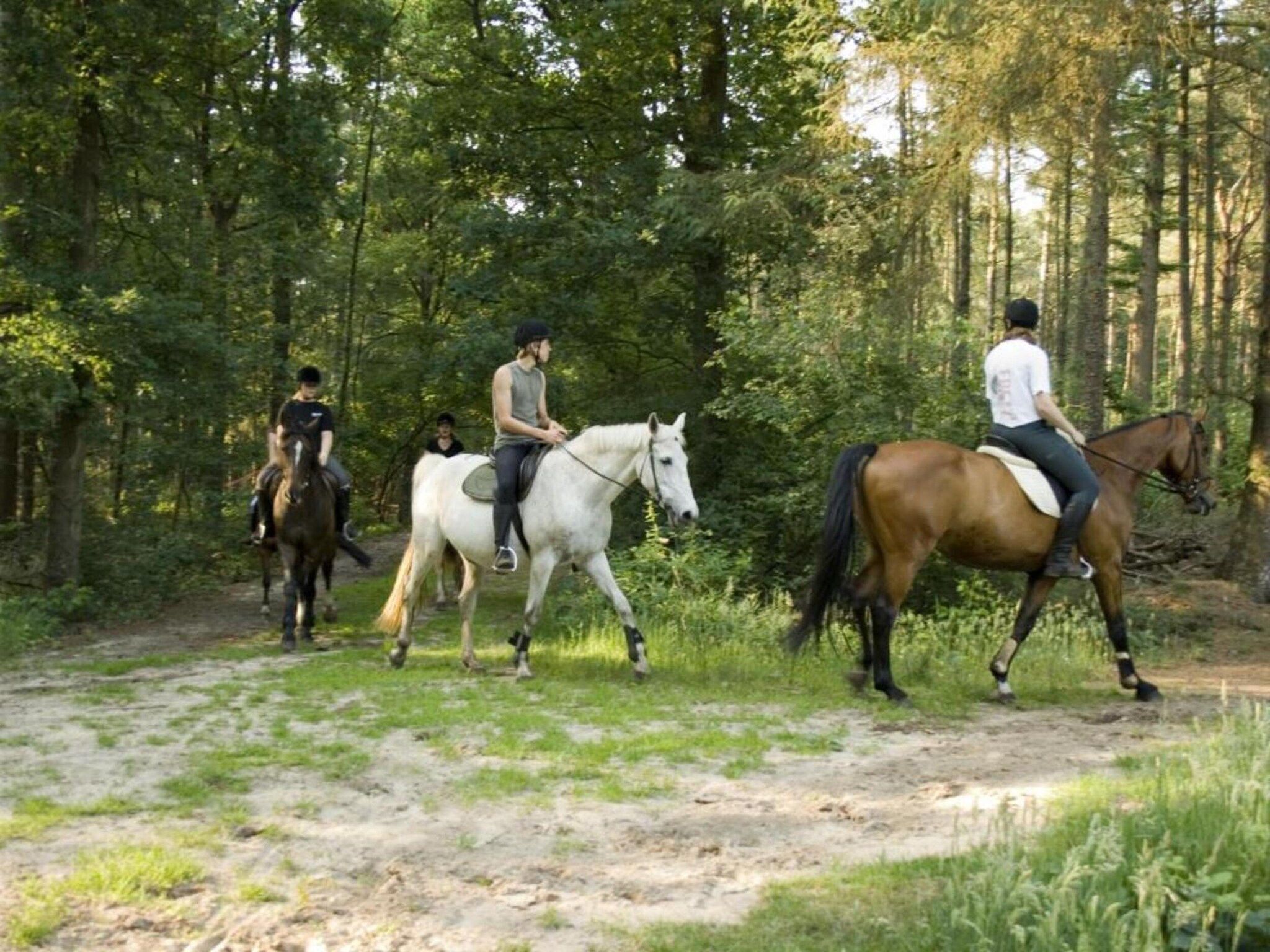 Buitenplaats Gerner 7 in Dalfsen - Foto 24 van 40