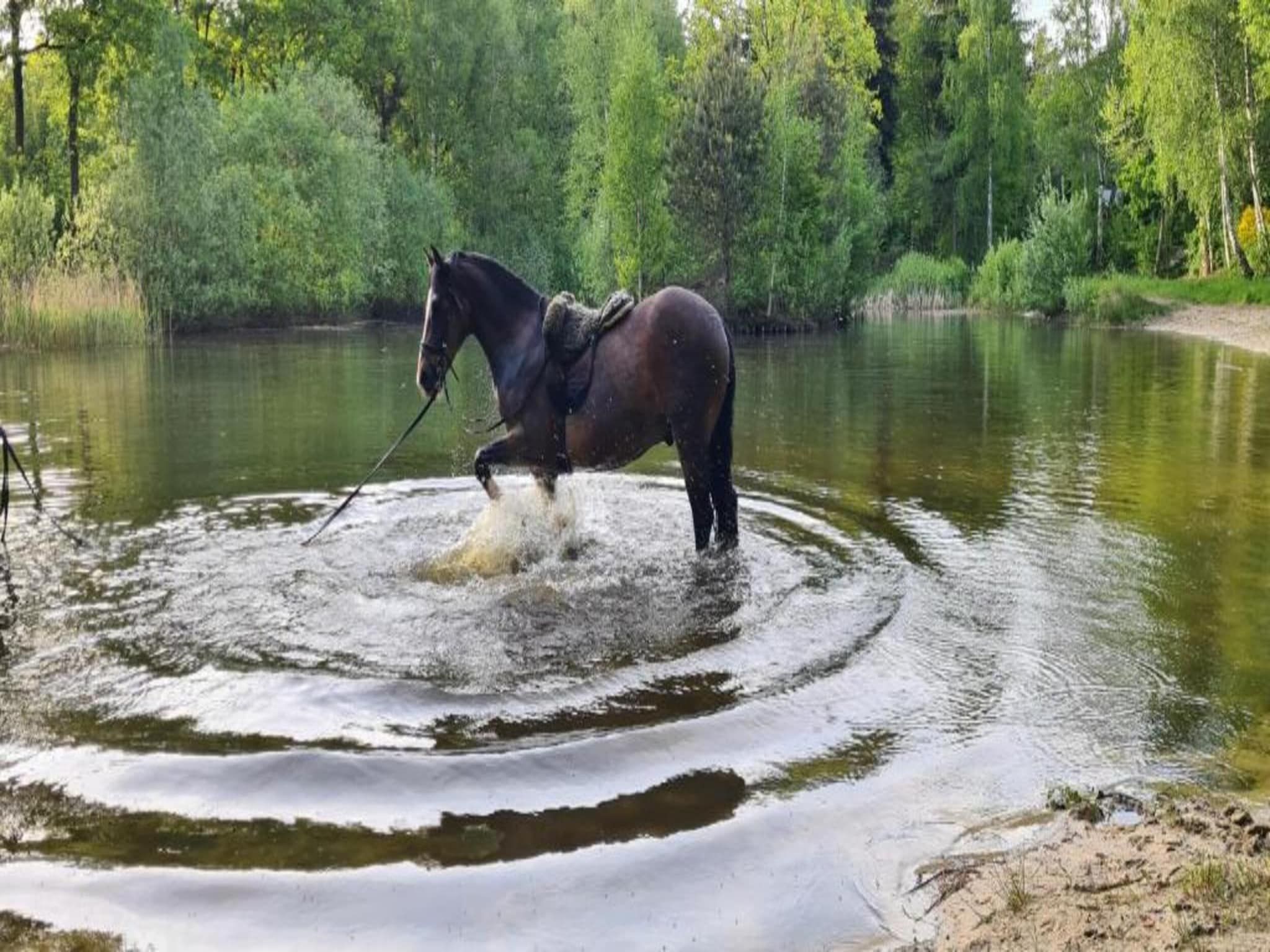 Buitenplaats Gerner 7 in Dalfsen - Foto 25 van 40