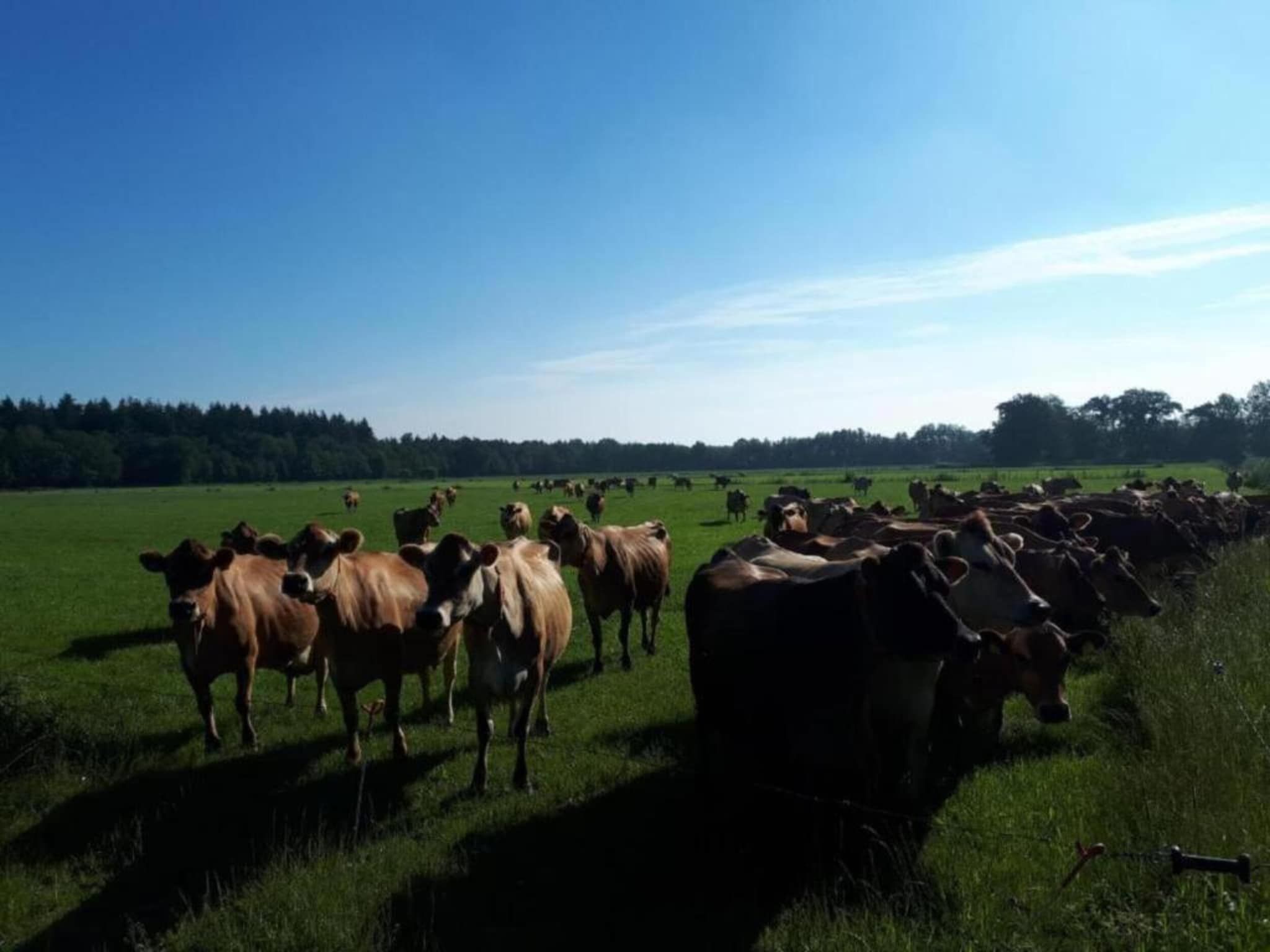 Buitenplaats Gerner 7 in Dalfsen - Foto 18 van 40