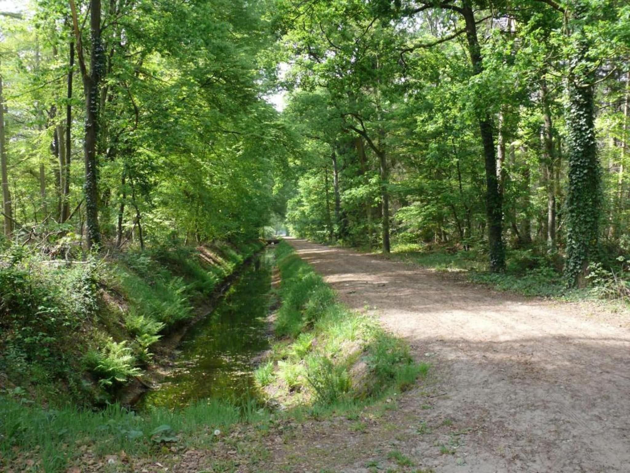 Buitenplaats Gerner 8 in Dalfsen - Foto 36 van 40